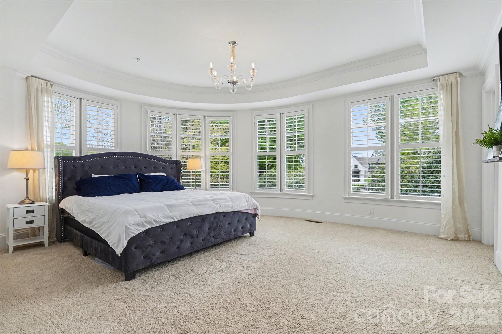 MLS #CAR4363581 image #14