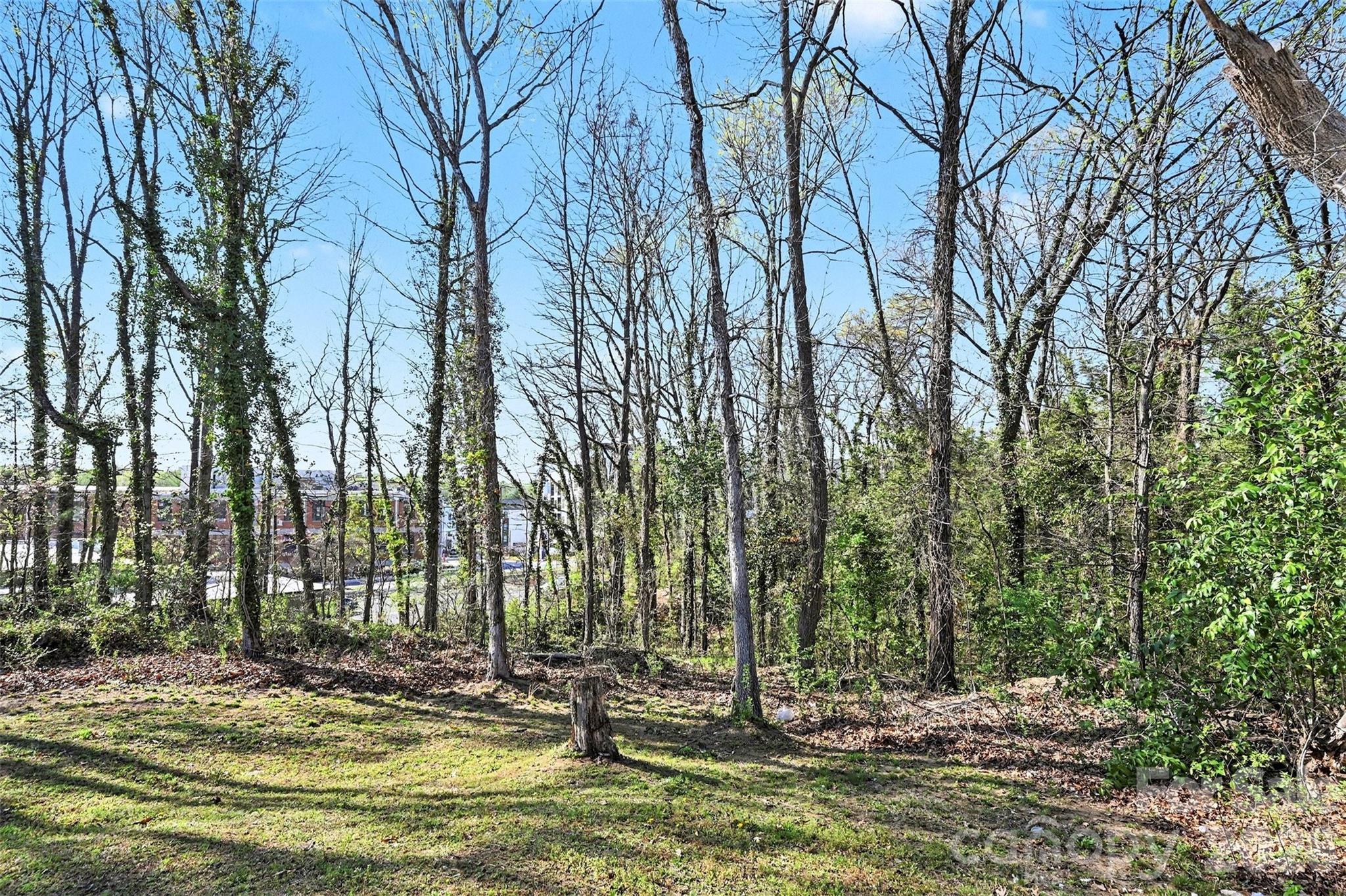 MLS #CAR4363921 image #21