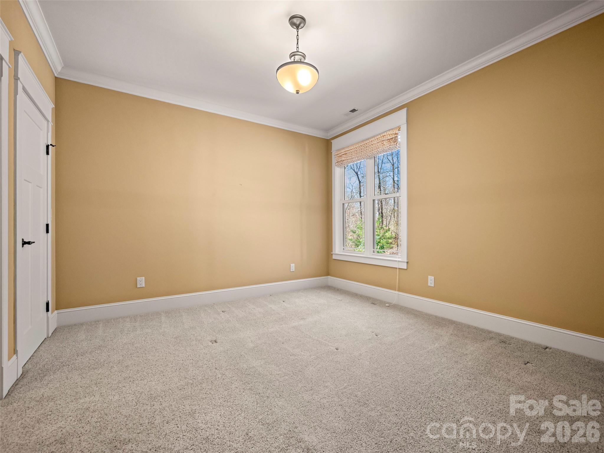 MLS #CAR4363938 image #24