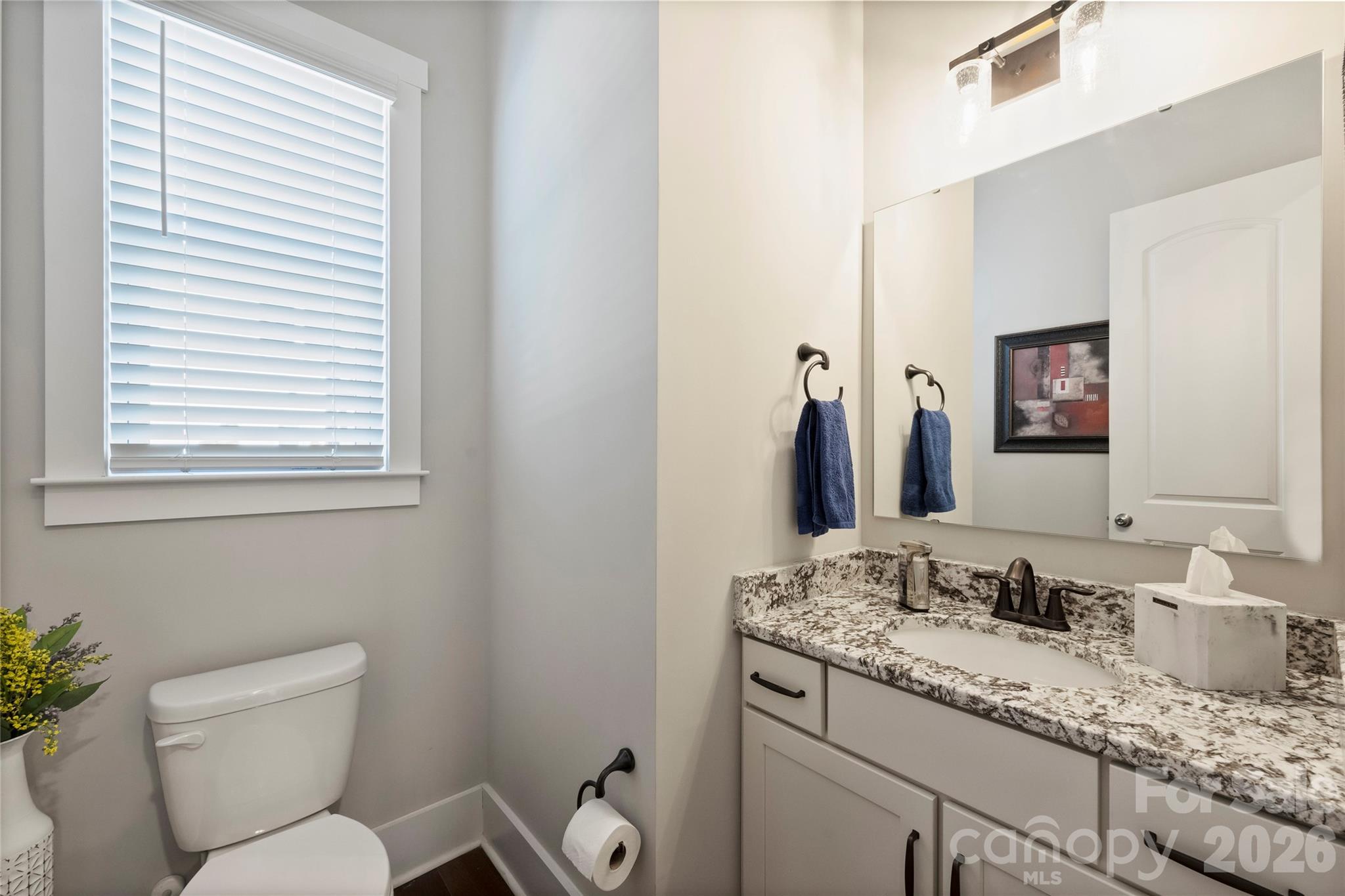 MLS #CAR4364476 image #30