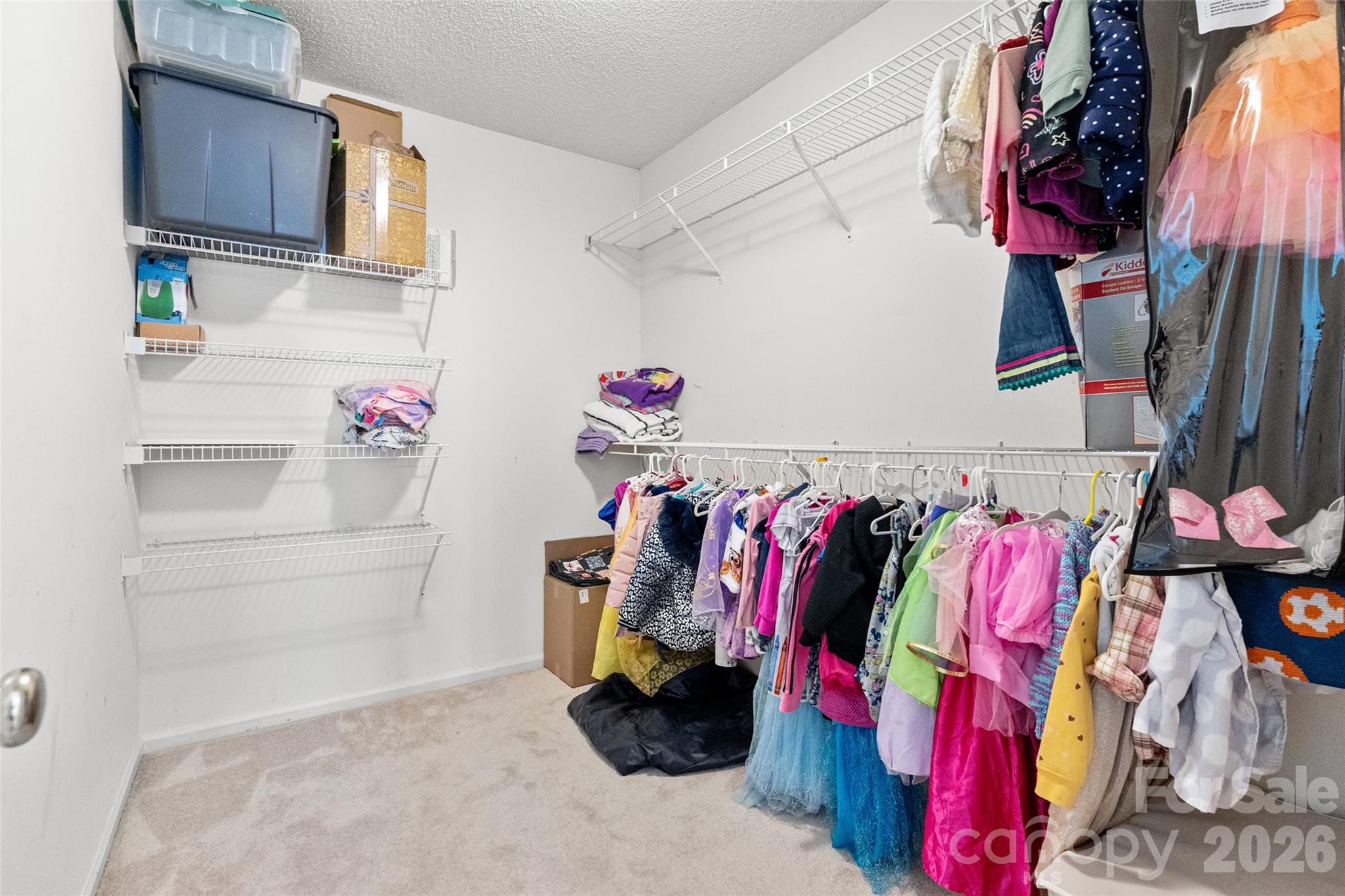 MLS #CAR4364550 image #33