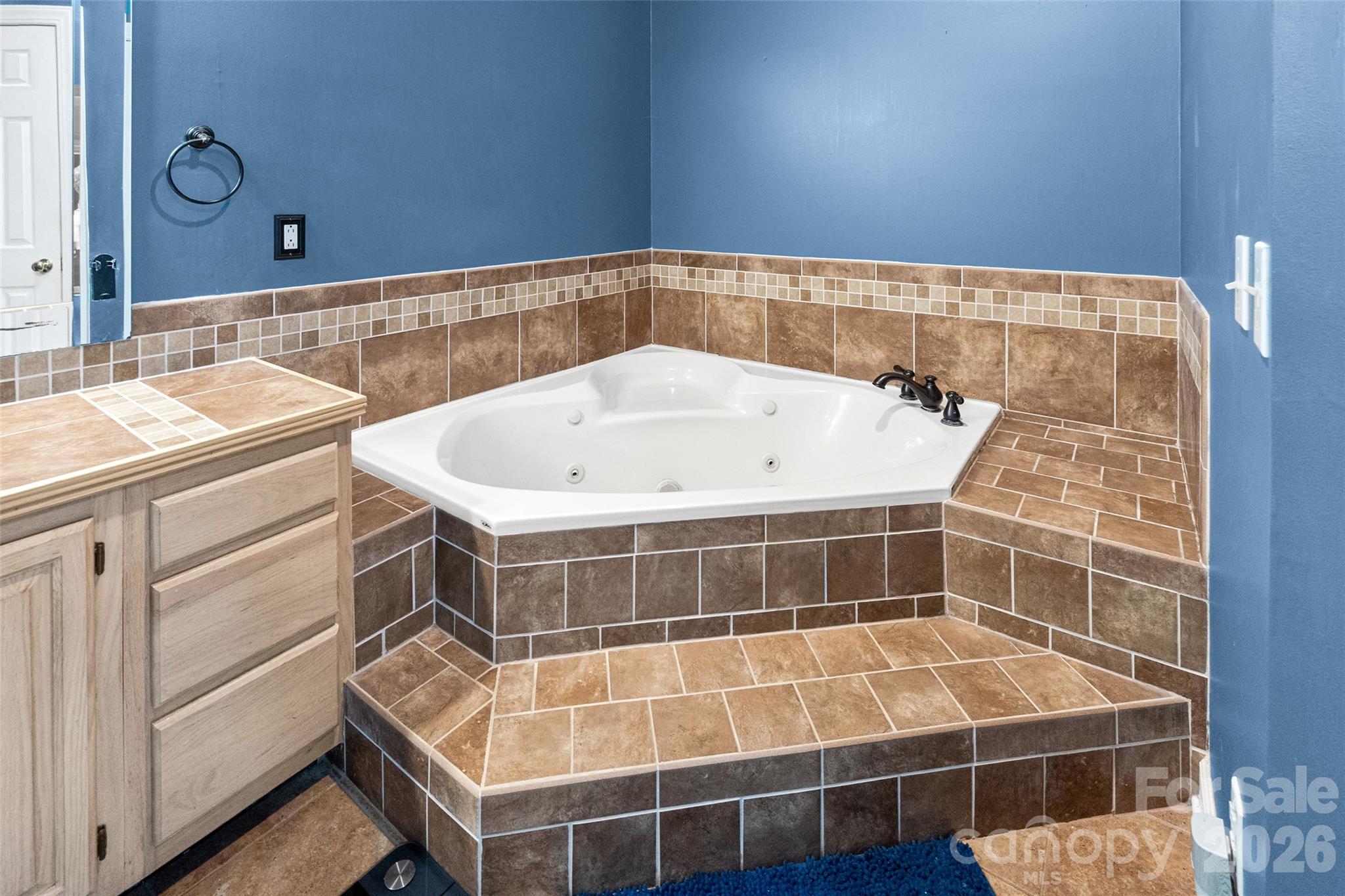 MLS #CAR4364550 image #24