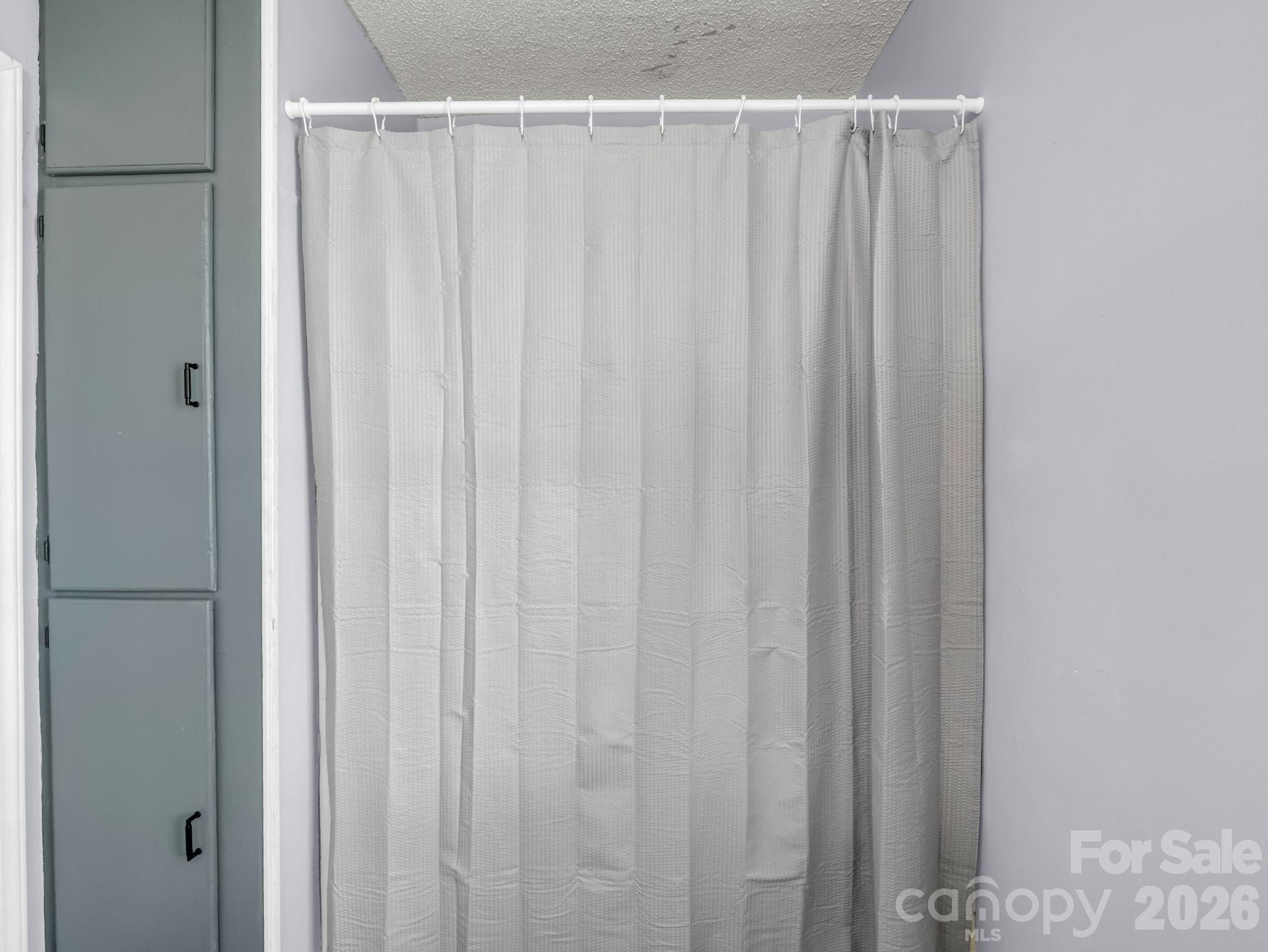 MLS #CAR4365244 image #27