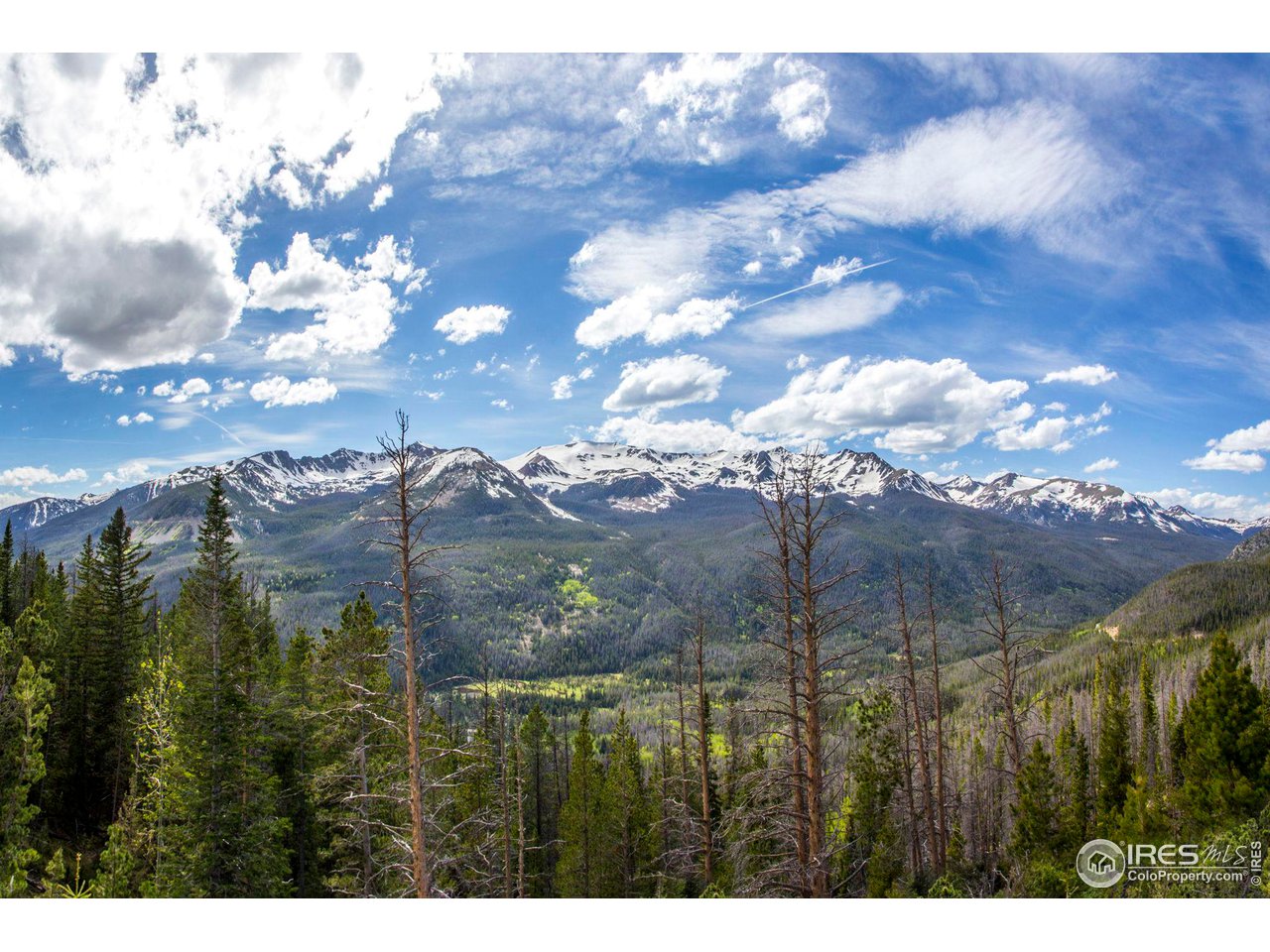 1780 Continental Peaks Cir