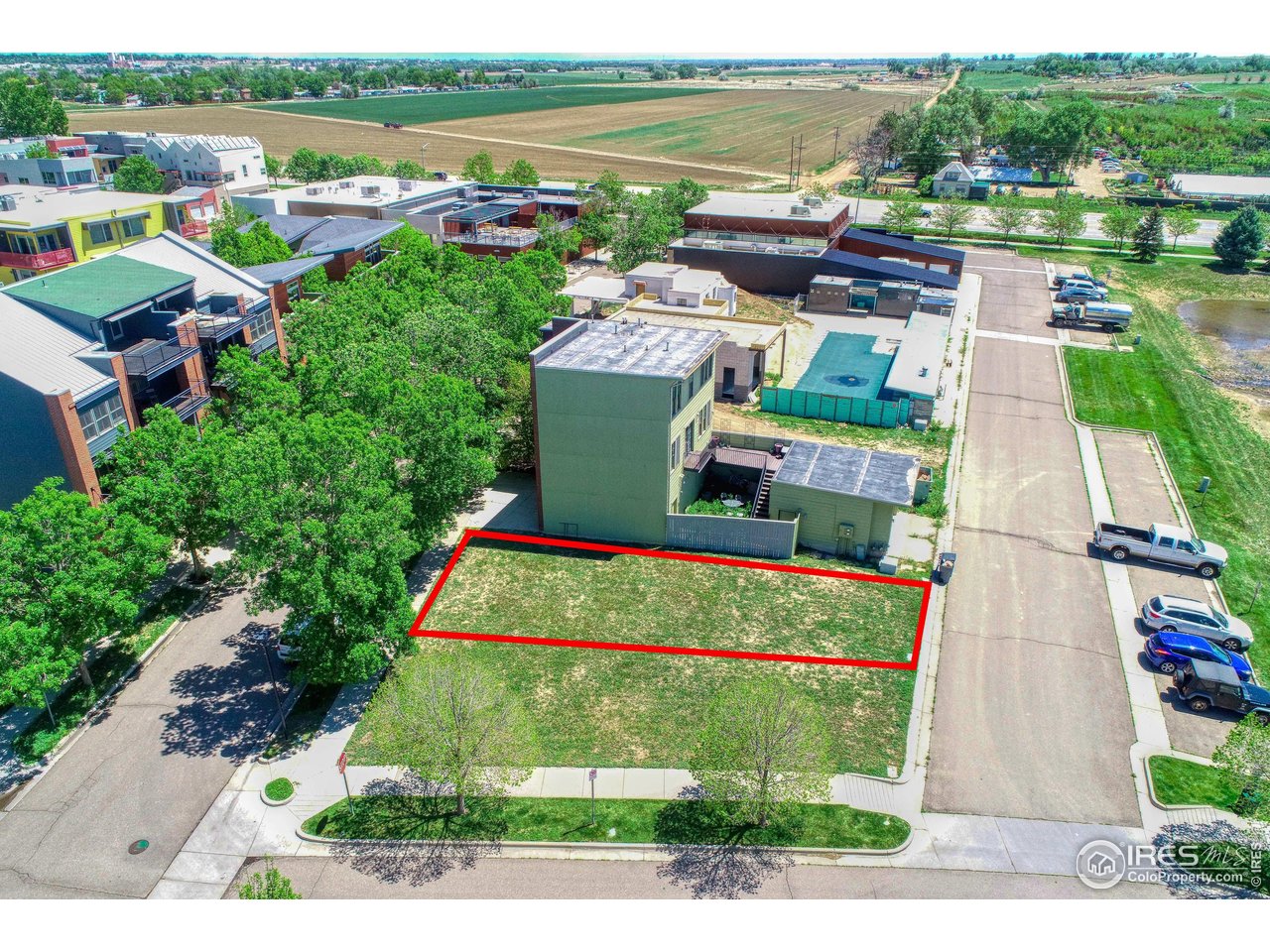 1105 Neon Forest Cir