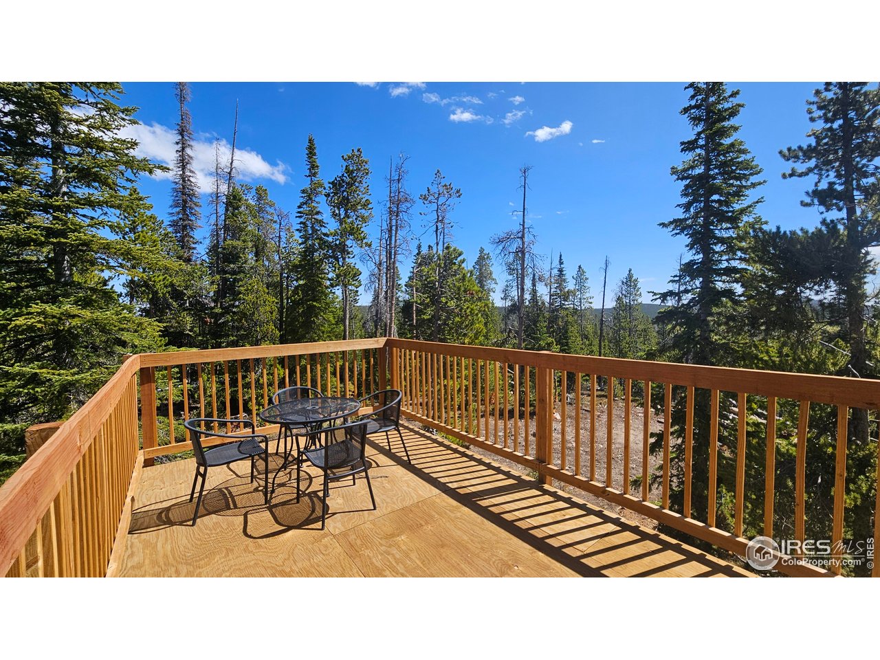 Forest Service 169 Rd