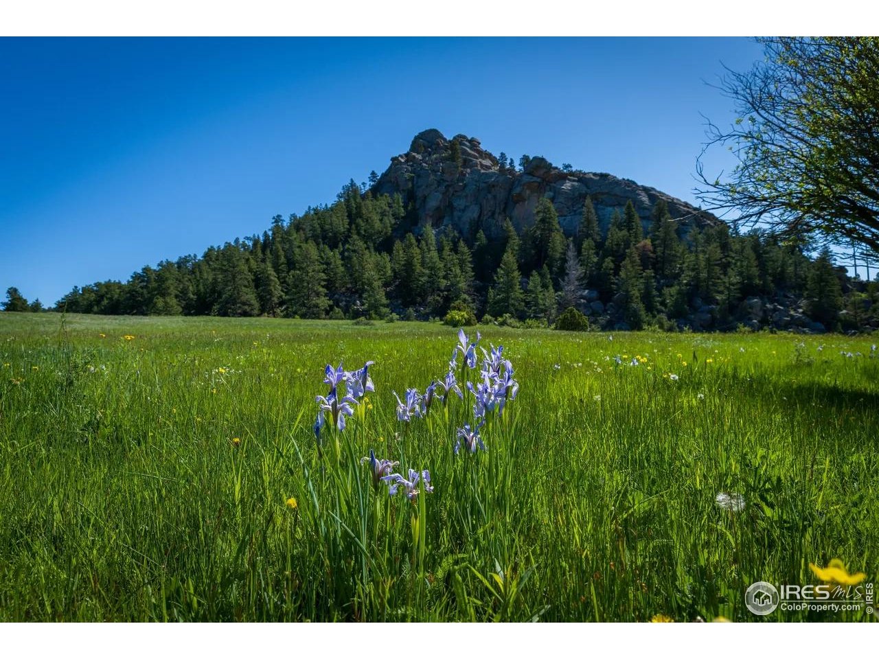 Shoshana Ranch Rd