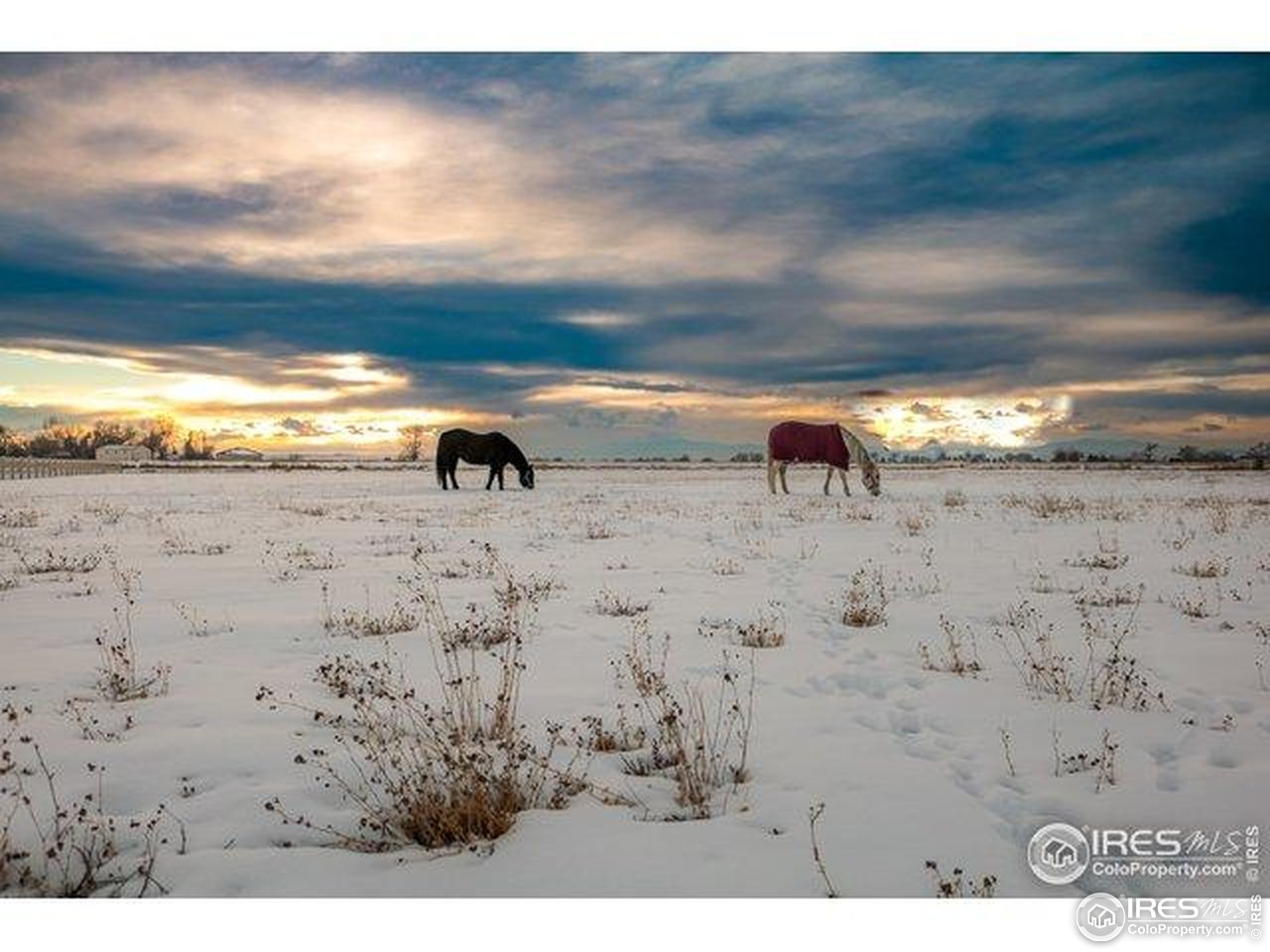 16490 Highway 392