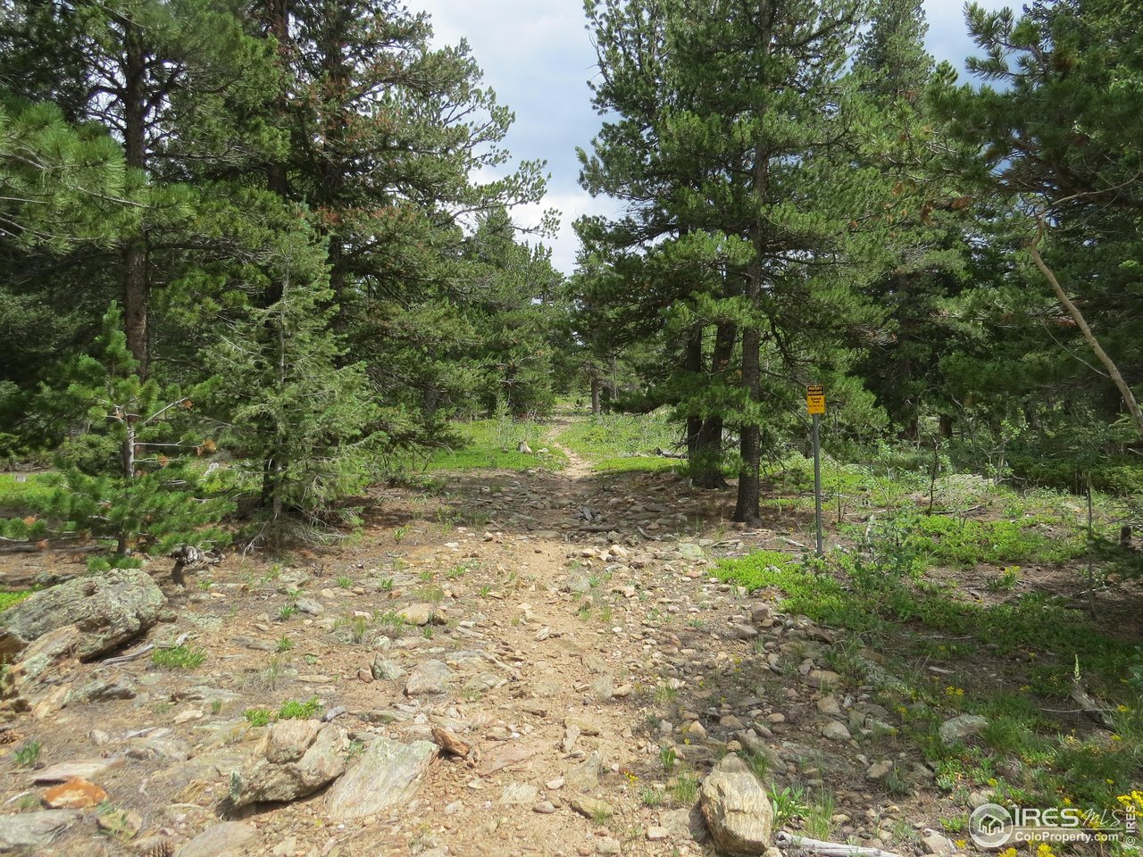 Peak to Peak Hwy