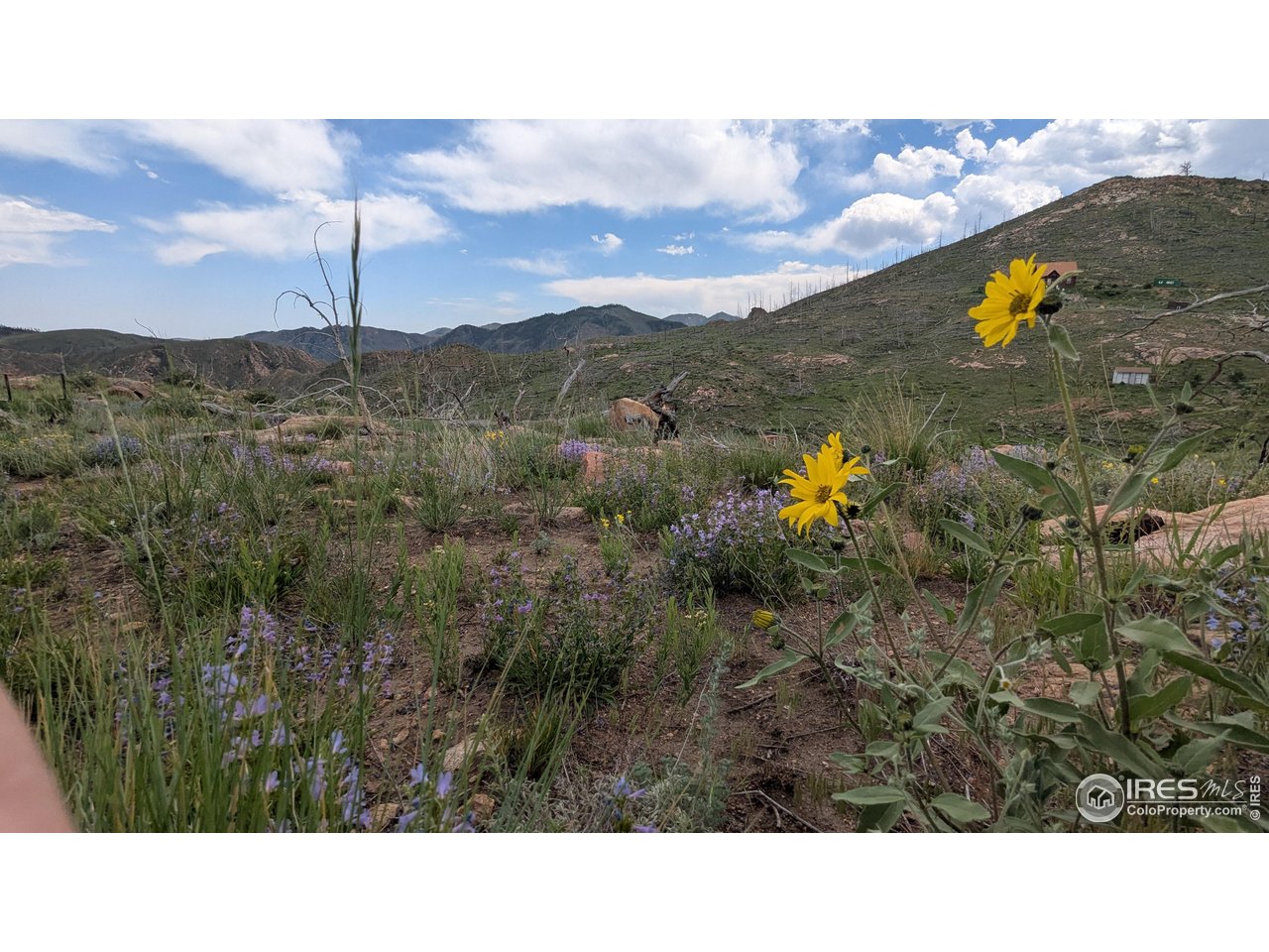 1324 Meadow Mountain Dr