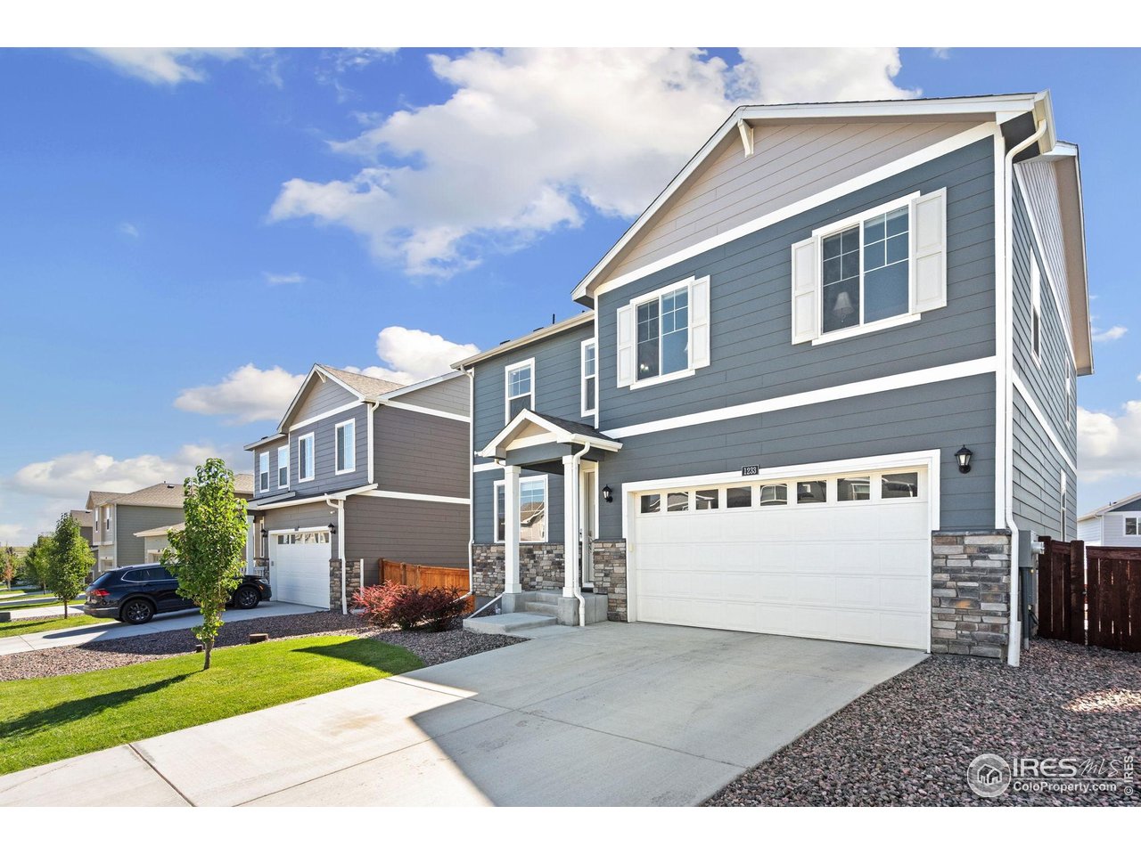 1233 Lily Mountain Rd