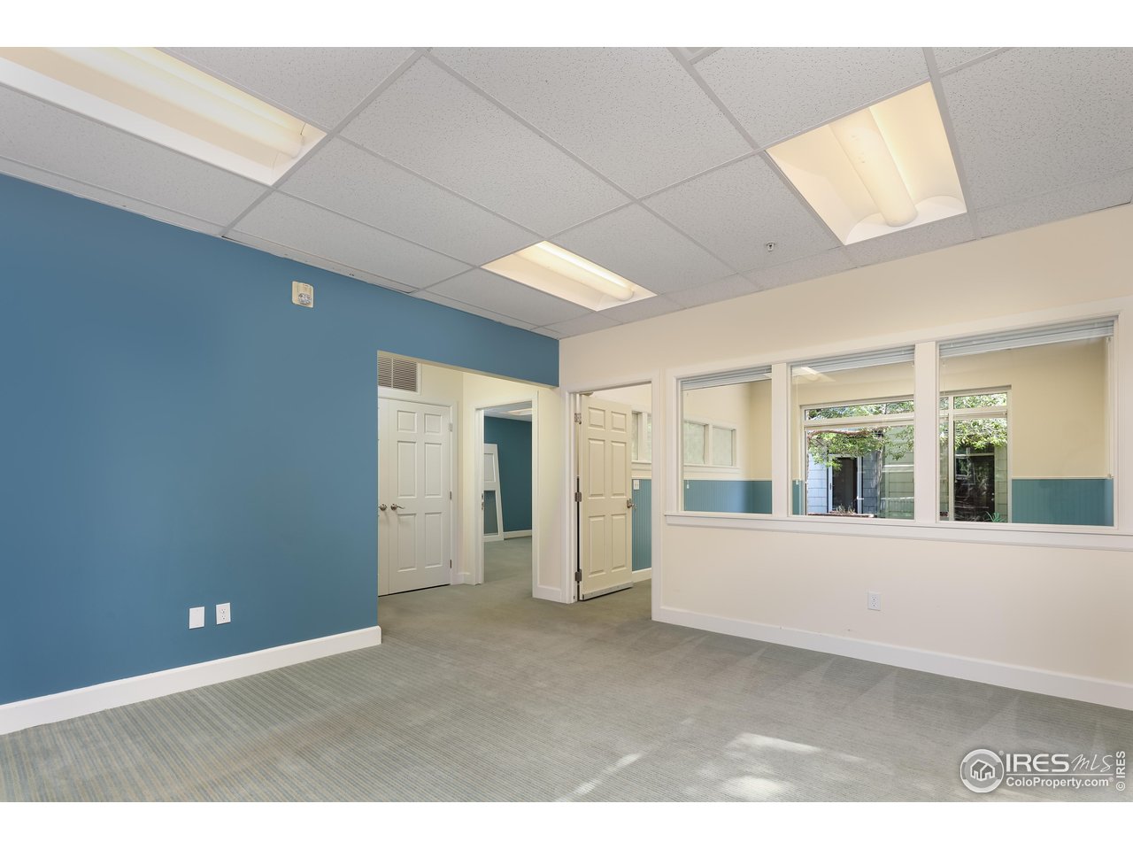 1517 Easy Rider Ln