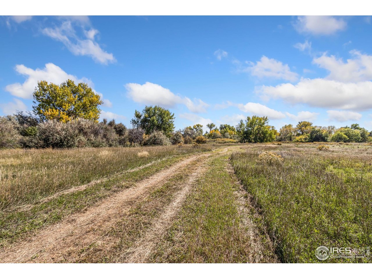 4677 E County Road 48