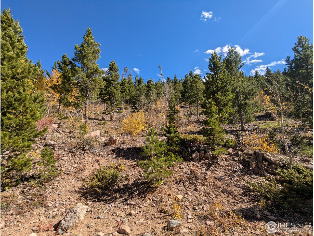 11 Bear Gulch Rd