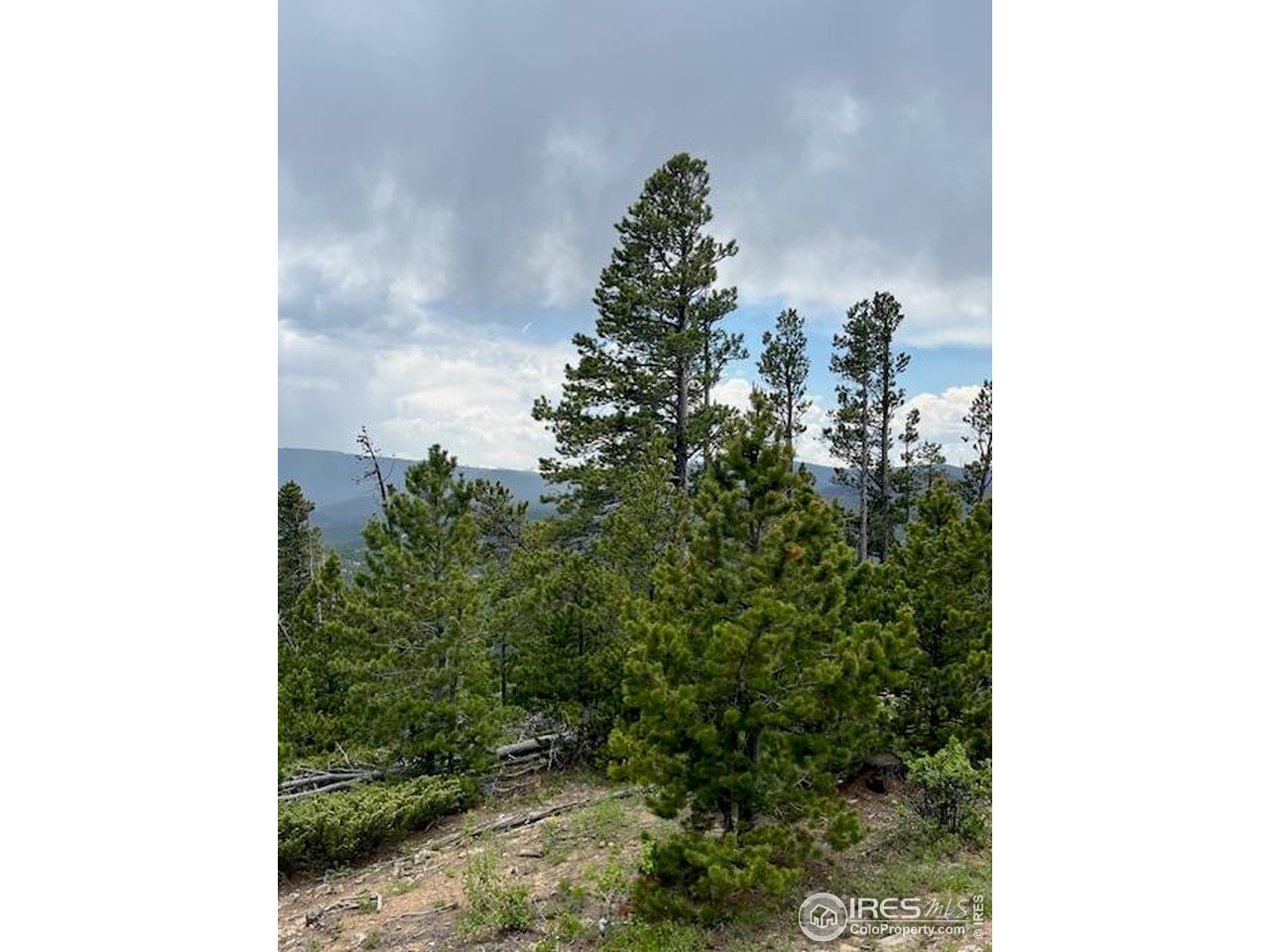 Bear Gulch Rd