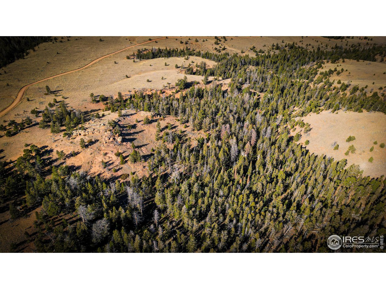Wilderness Ranch Rd