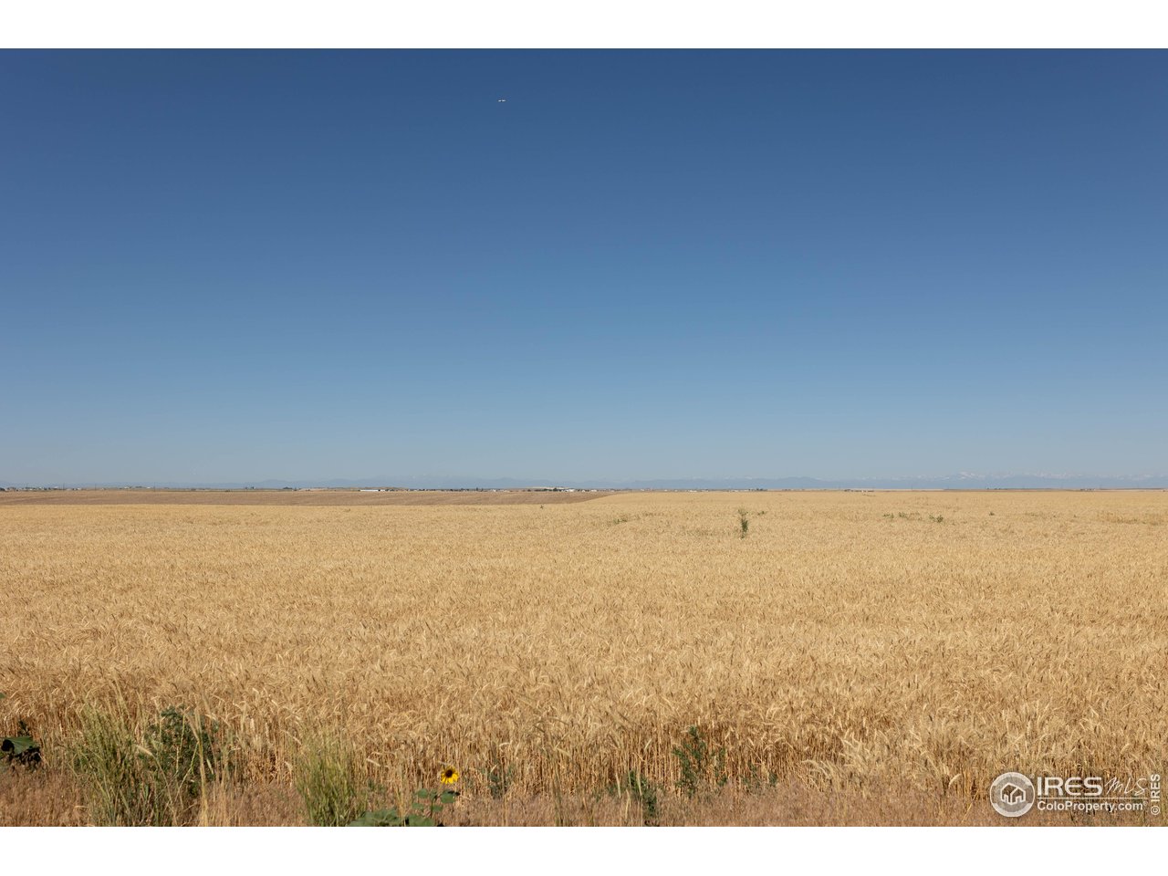 1 Vacant Land Penrith