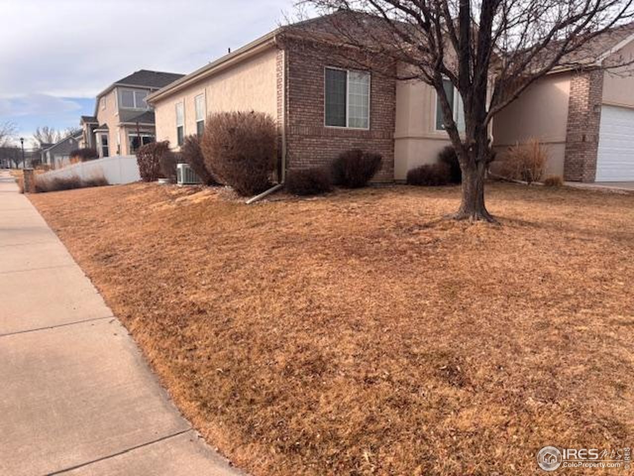 3323 Costanita St
