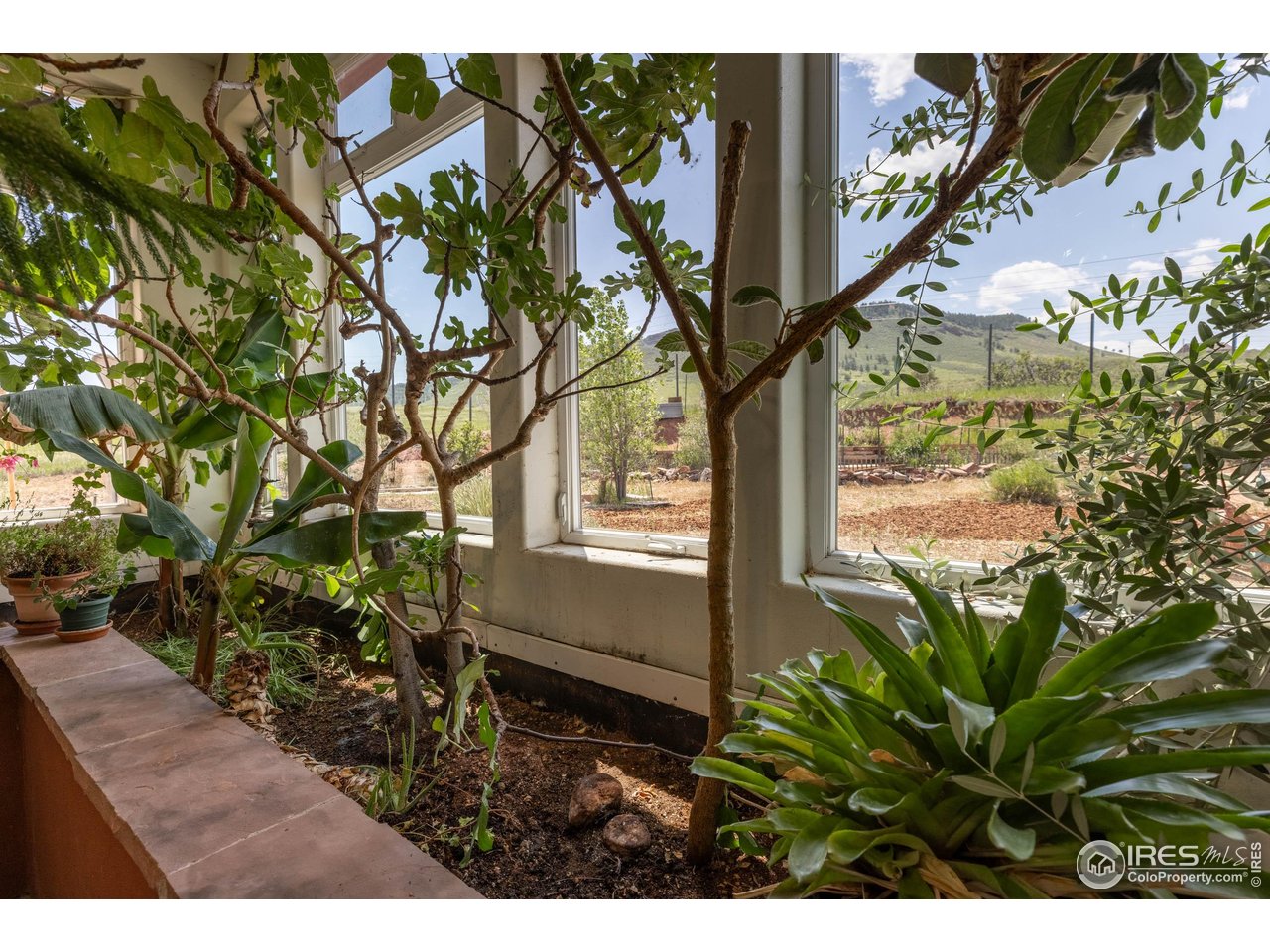108 Lonestar Rd