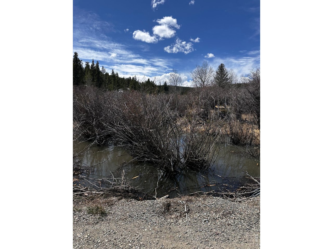 43 Chetco Ct