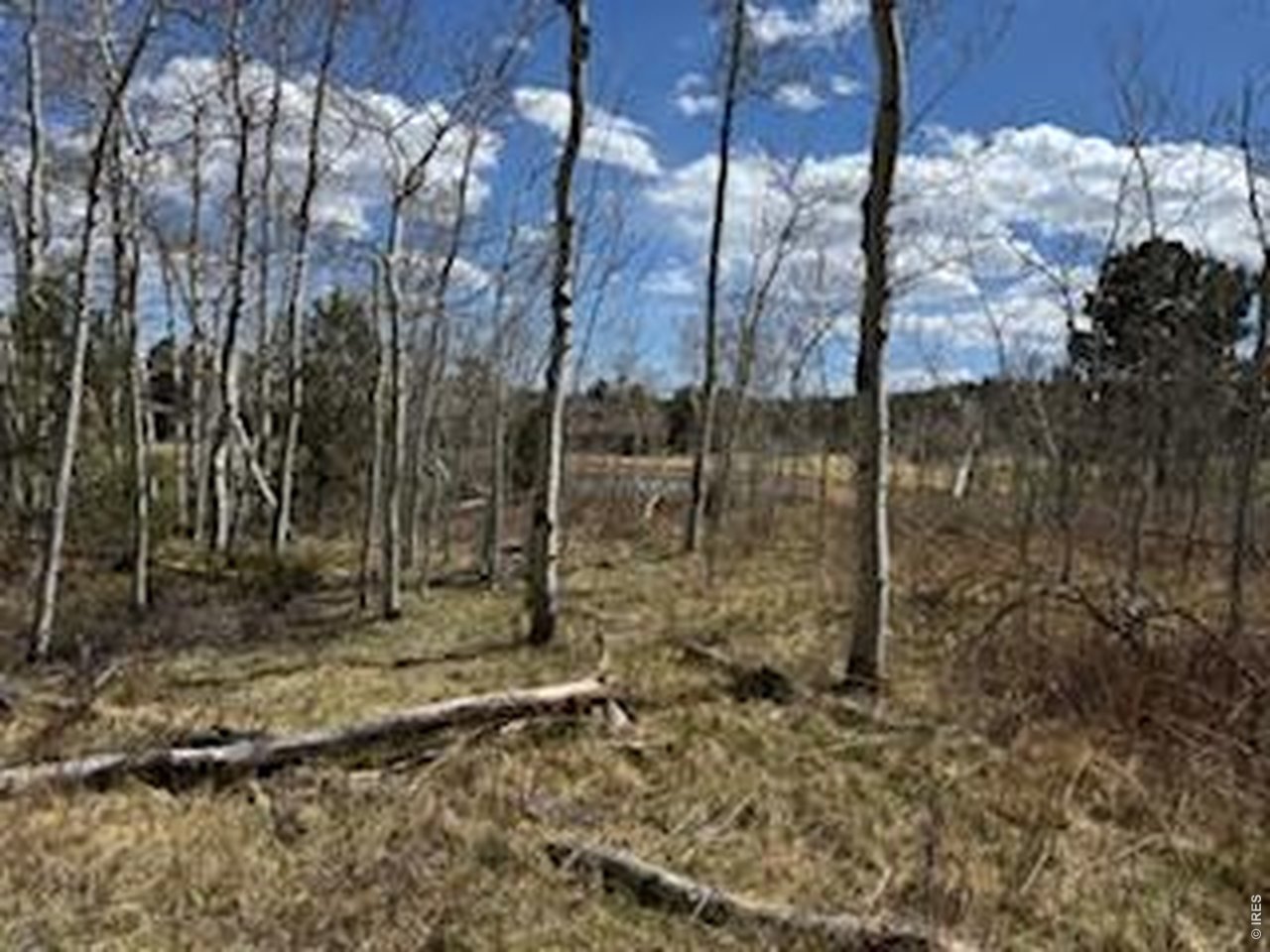 400 Fox Acres Dr W