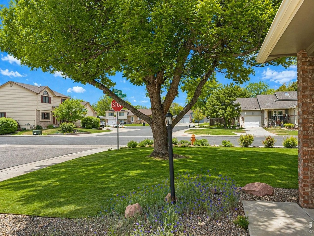 1044 Blue Spruce Dr