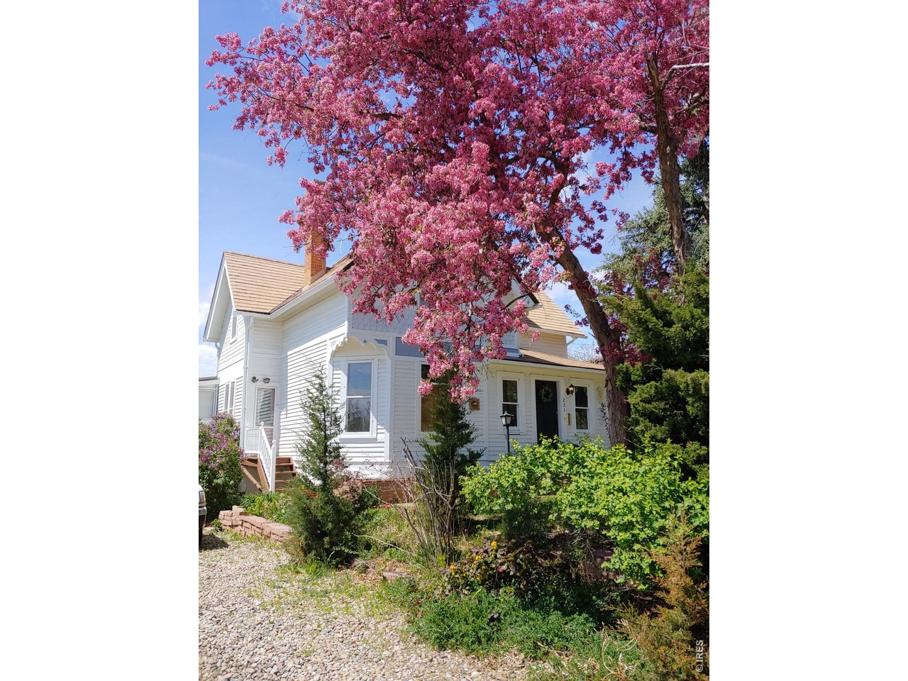 251 Gay St
