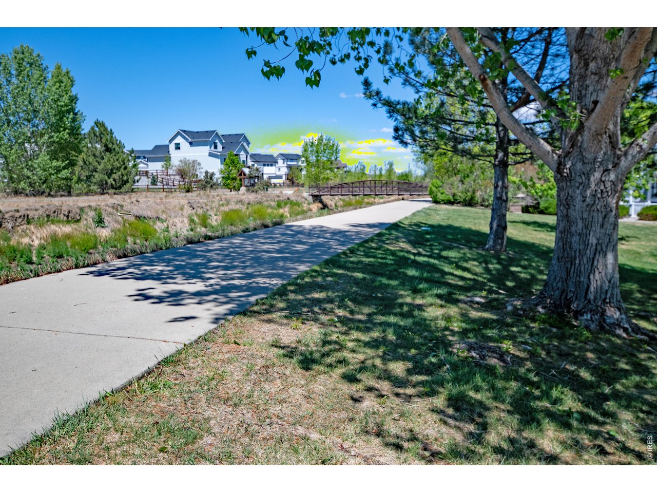 2059 Grays Peak Dr