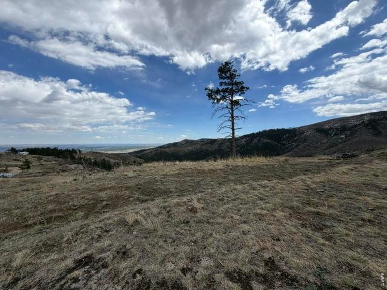 711 Saddle Ridge Rd