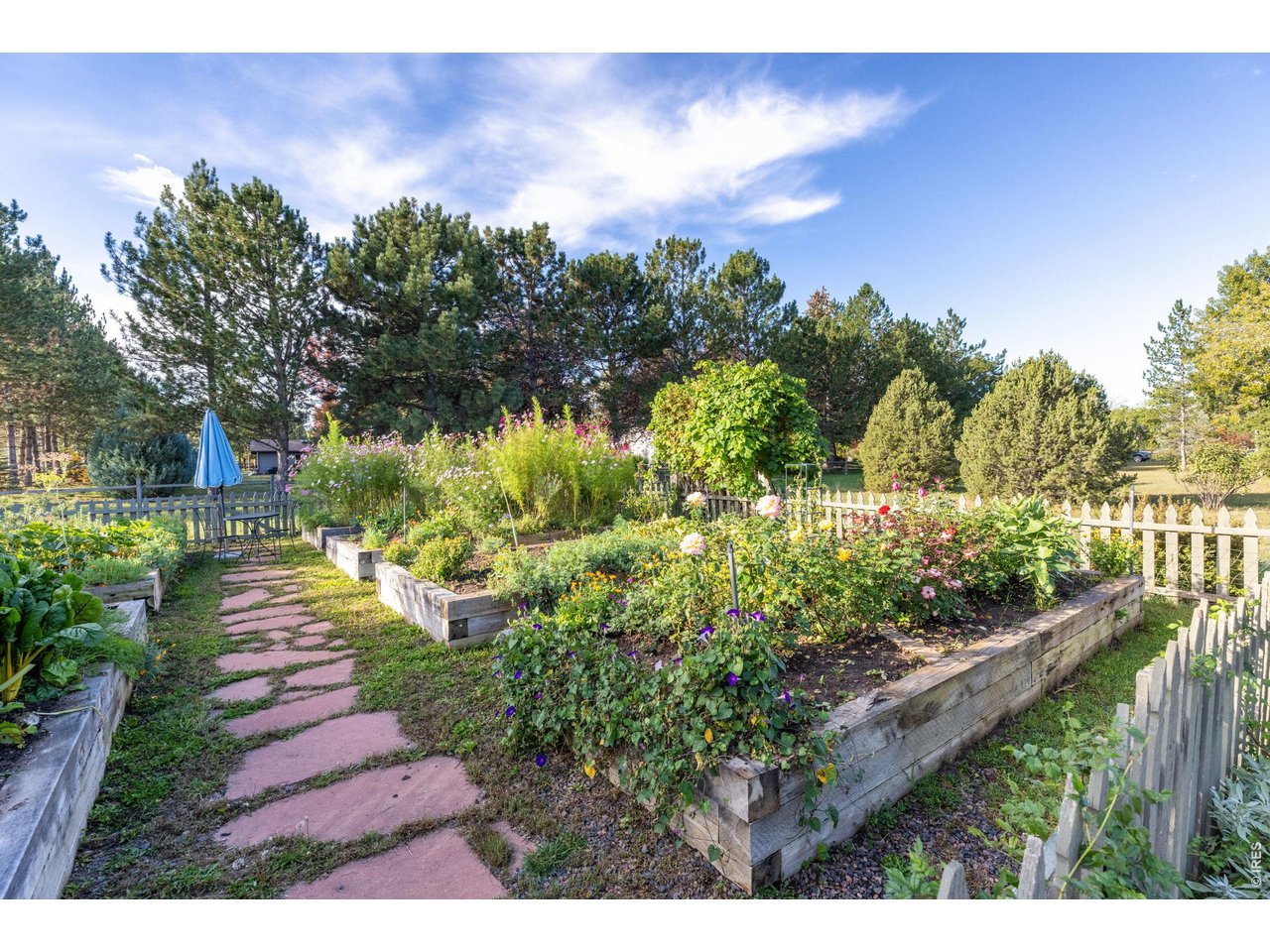 8726 Crimson Clover Ln