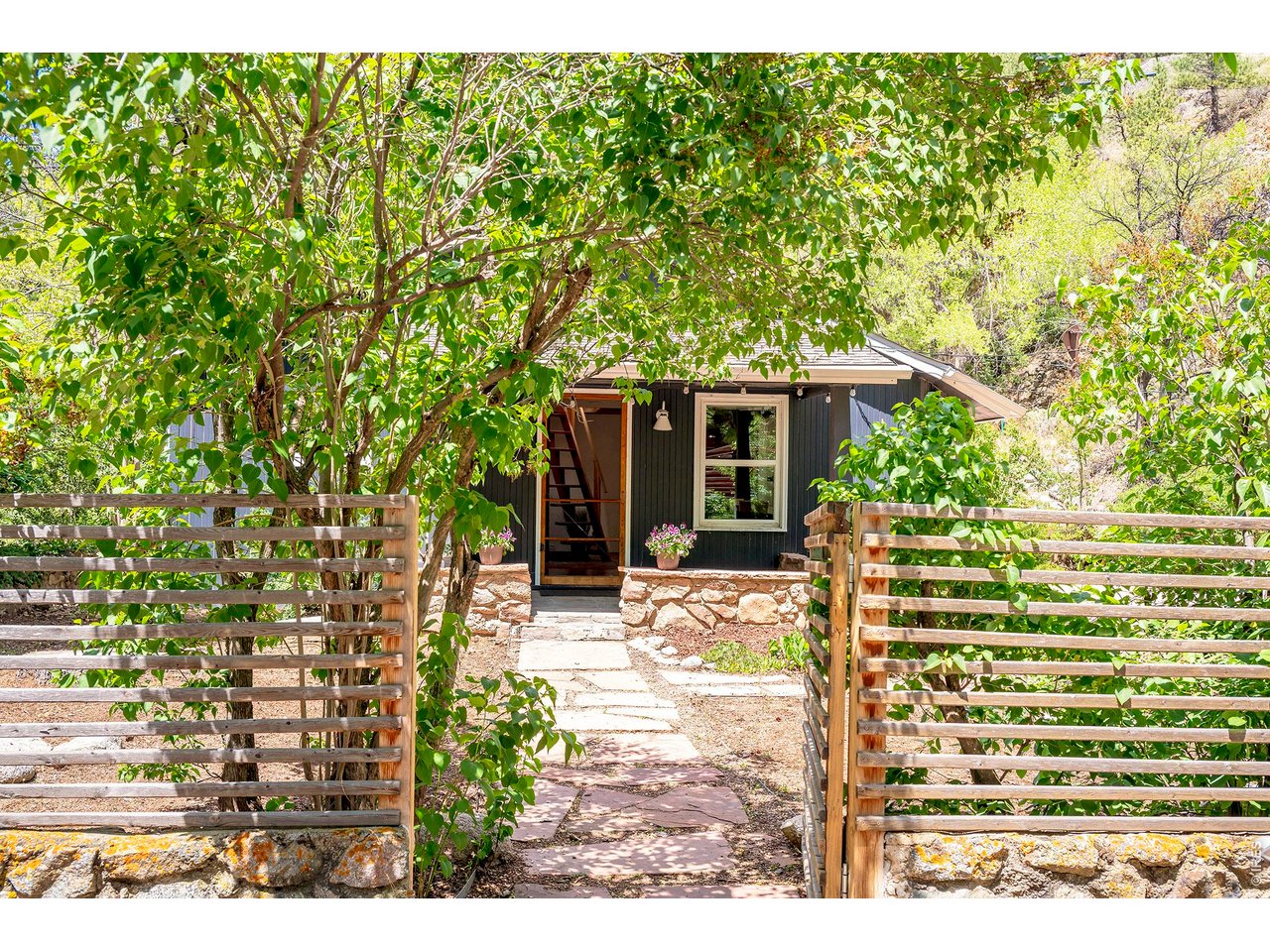 31 Silver Spruce