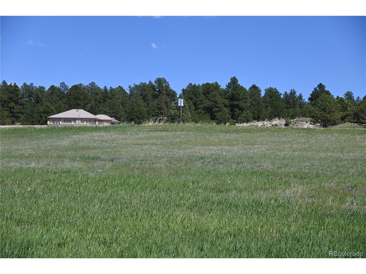 30523 Mountain View Trl