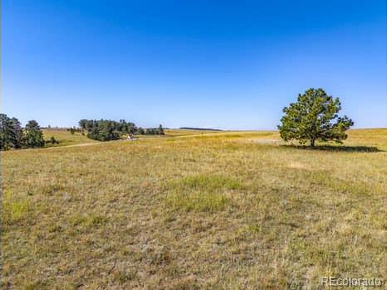 32147 Waylongood Pt
