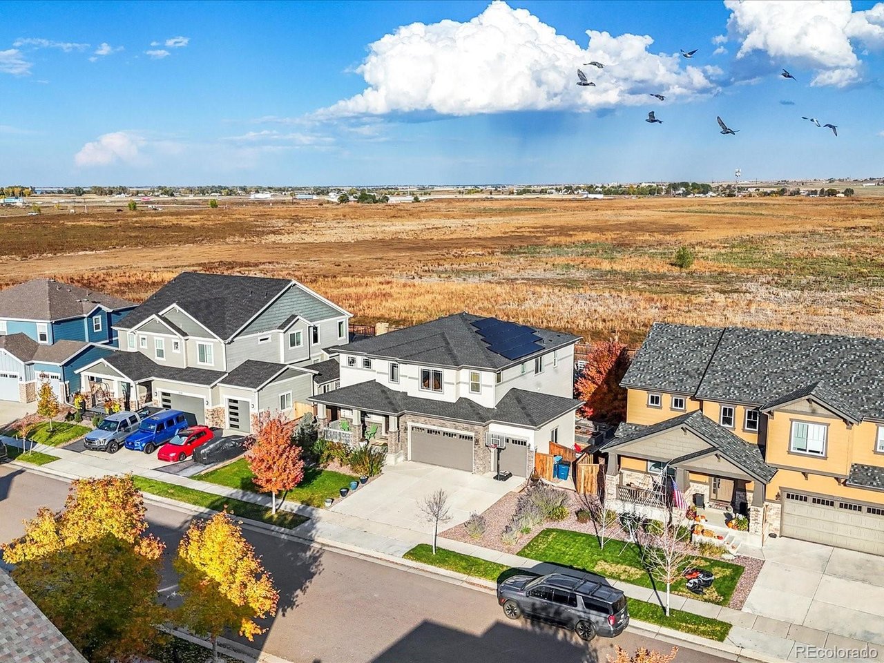 11732 Ouray Ct