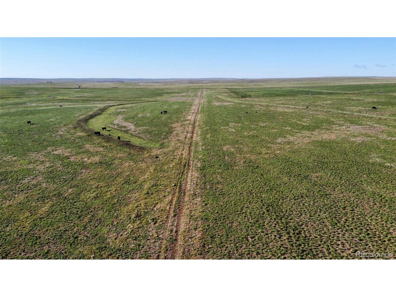 County Rd 166