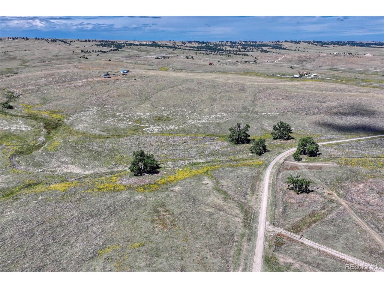 Fiddleback Ranch Rd