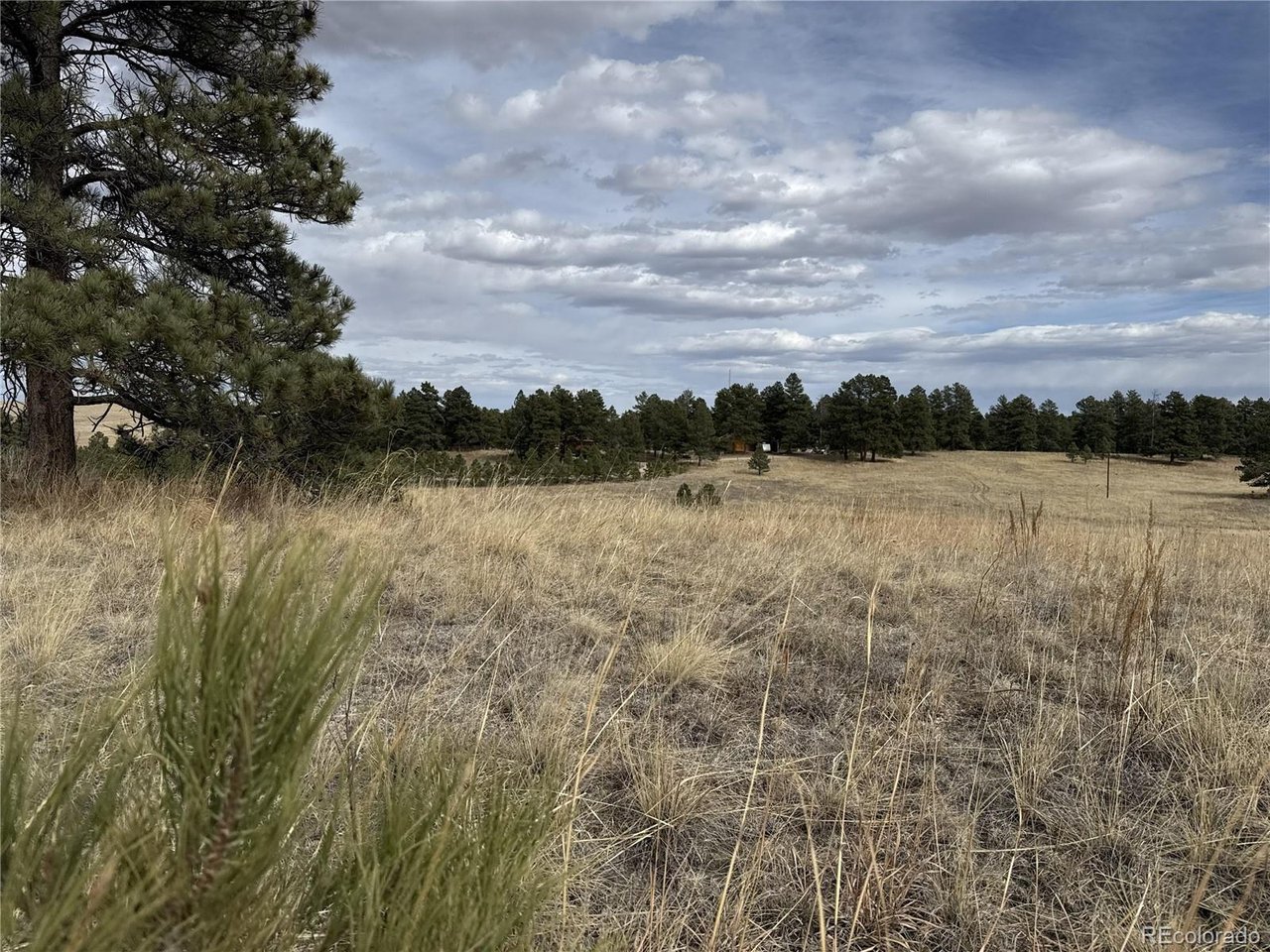 39080 County Road 21