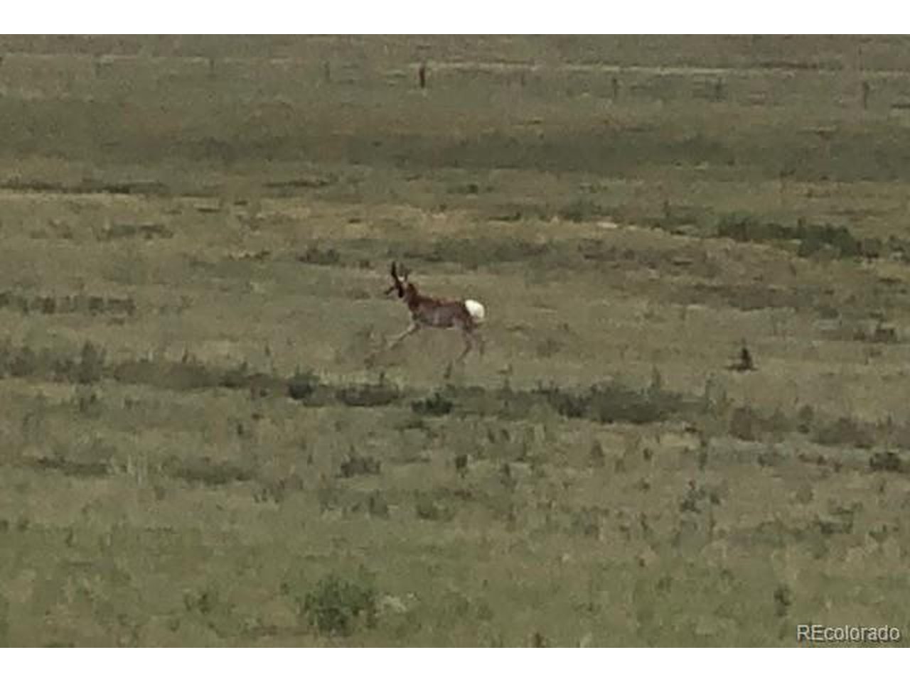 TBD County Road 2
