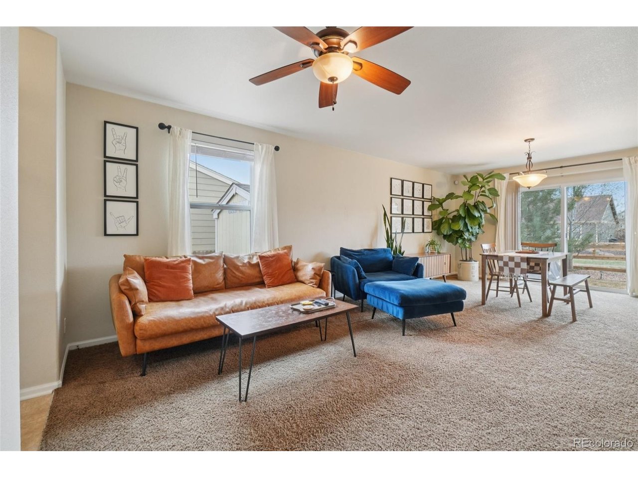 316 Shenandoah Way