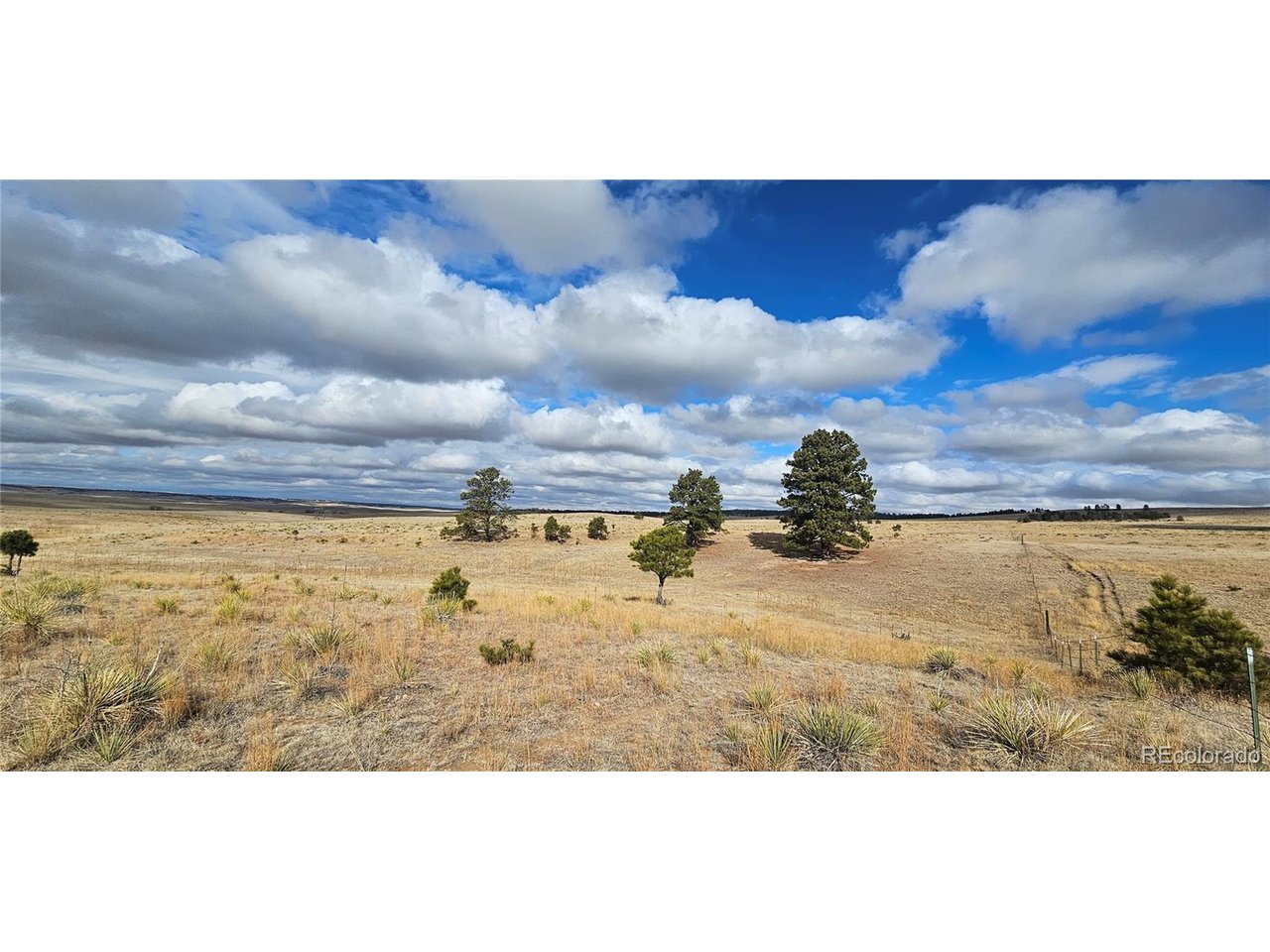 23895 County Road 144