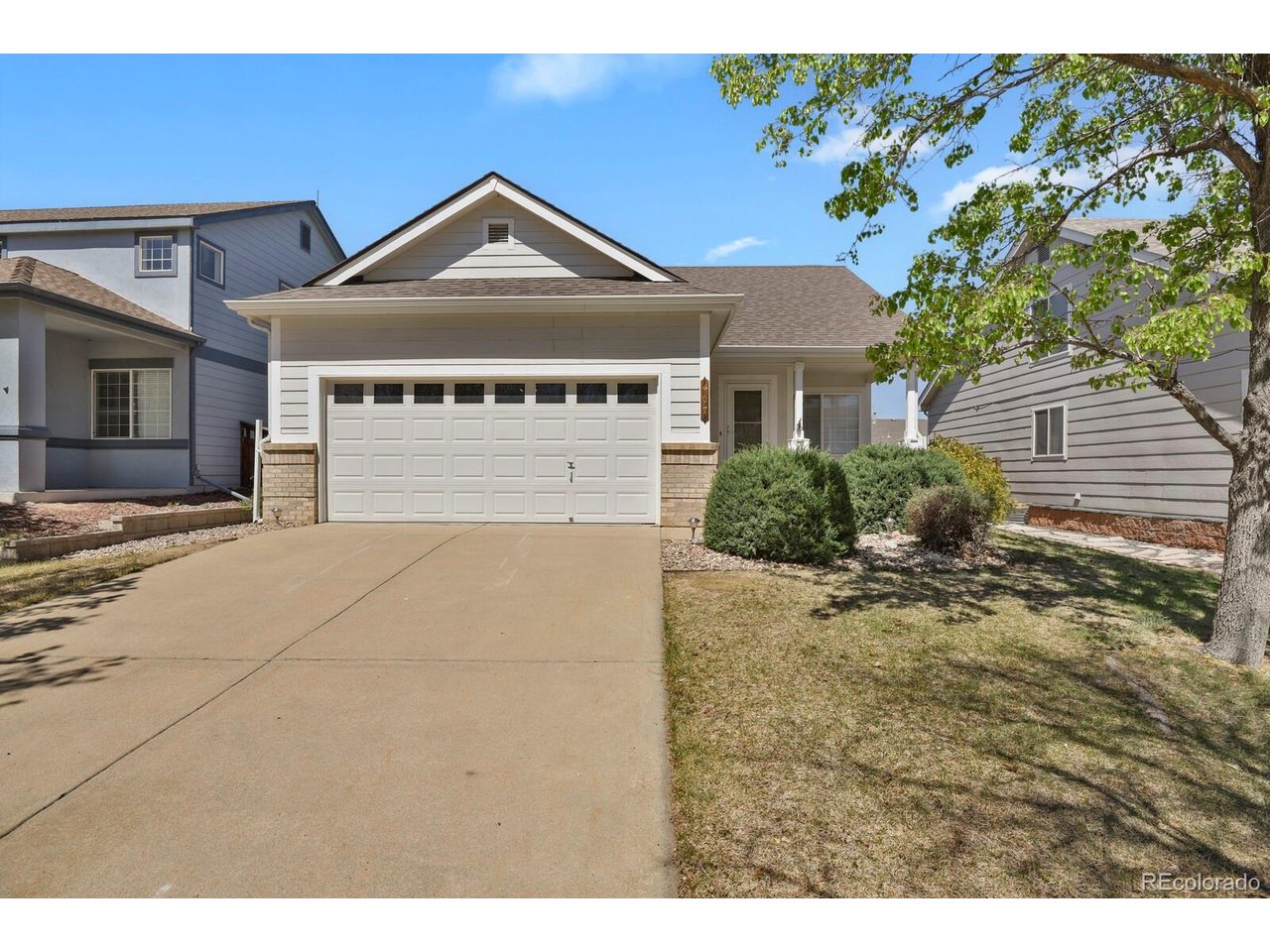 407 Grey Swallow St