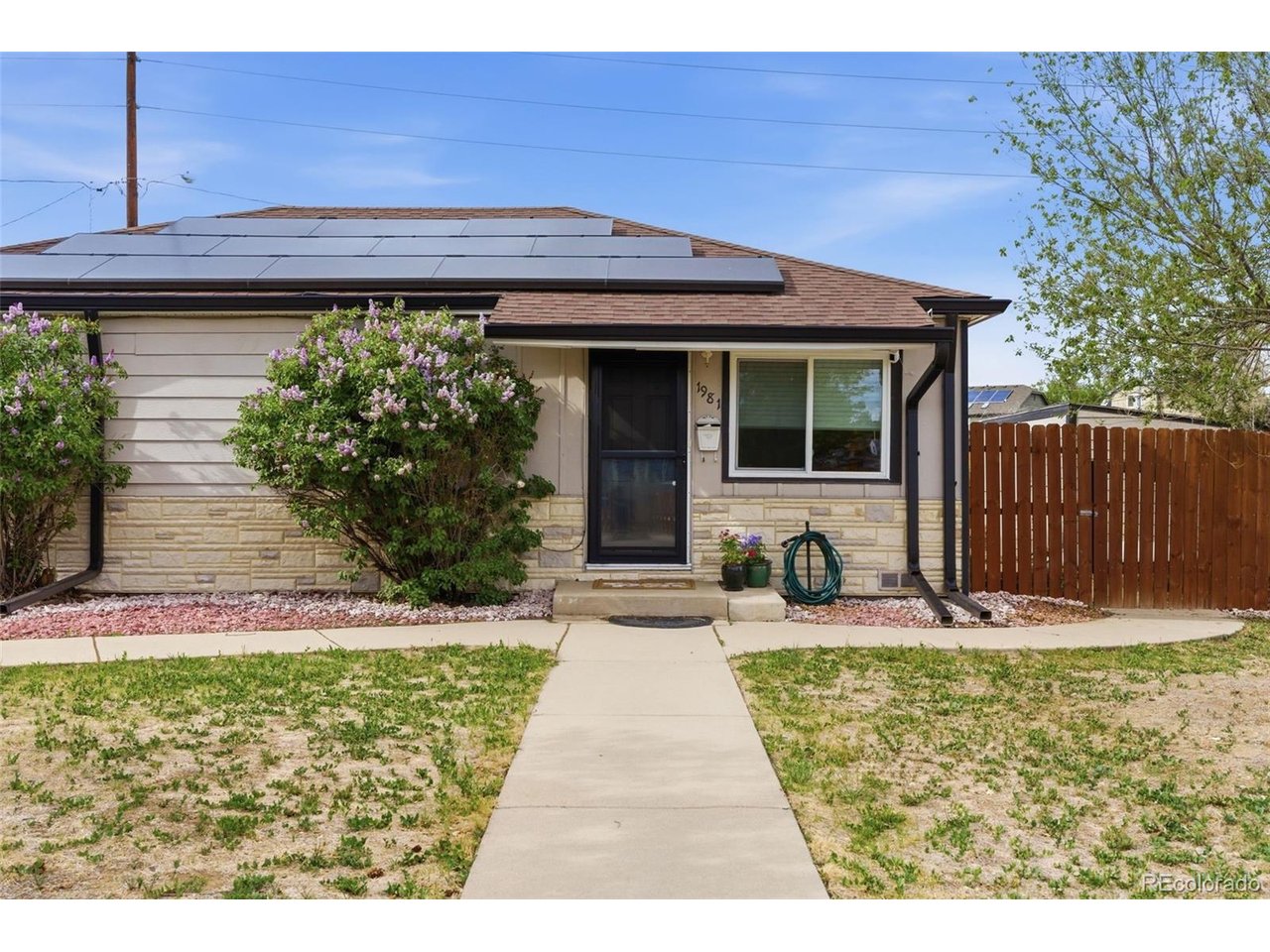 1981 Ruth Dr