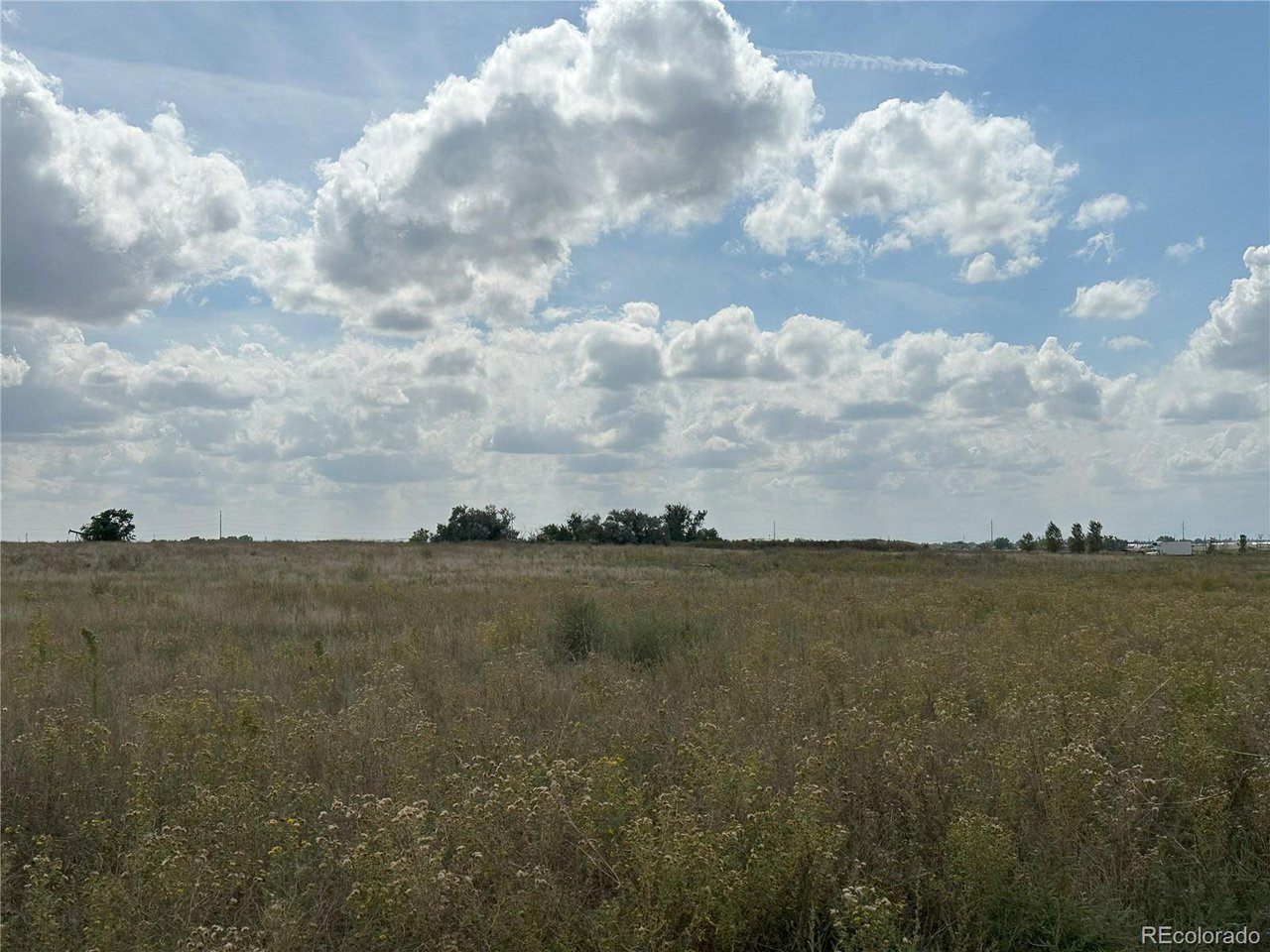 County Road 41