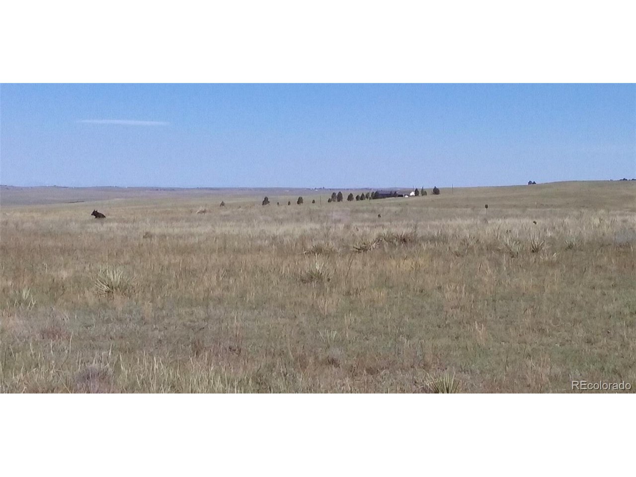 12115 St Hwy 86 Hwy