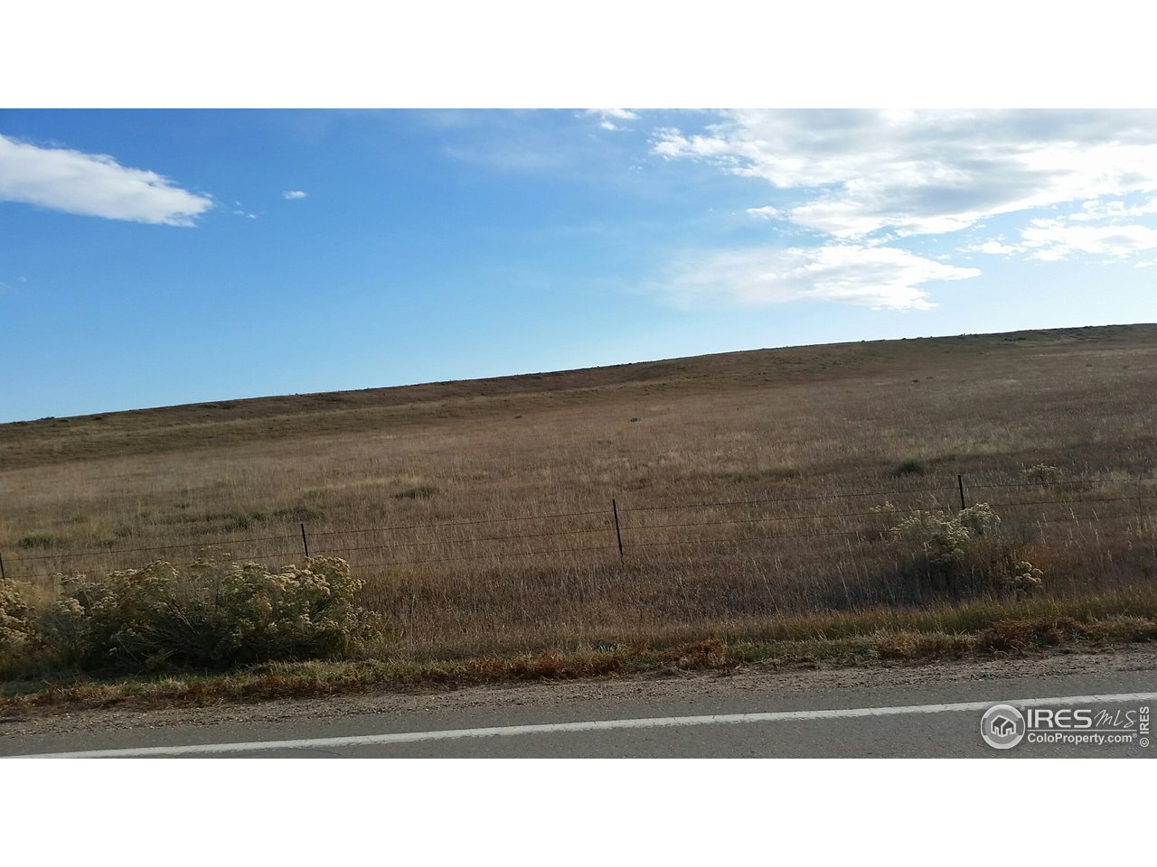 Berthoud