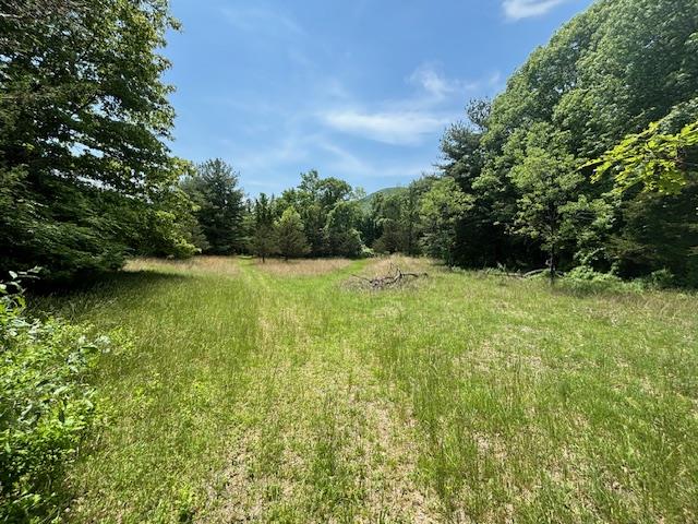 Welcome to your own slice of paradise! This beautiful 29-acre waterfront property offers the perfect canvass for your dream home. Nestled in the shadow of Stissing Mountain, you&rsquo;ll enjoy country views and ample space to build your oasis. Boasting approximately 800 feet of waterfront on Twin Island Lake, enjoy fishing, kayaking or just observing natures glory. Privacy is paramount on this property as it is tucked away in a serene location while still conveniently close to town. This mostly wooded parcel offers a buffer to neighboring land but contains a natural clearing perfect for a build site. The parcel sits partially in the towns Hamlet Residential and Hamlet Main Street zoning districts. It is sub dividable. The possibilities are great! Hike to the Stissing Mountain fire tower or stroll around the Thompson Pond Reserve, both within walking distance. Don&rsquo;t miss out on this rare gem! Embrace the tranquility, privacy and natural beauty that this 29-acre waterfront land has to offer. Your dream homesite awaits!
