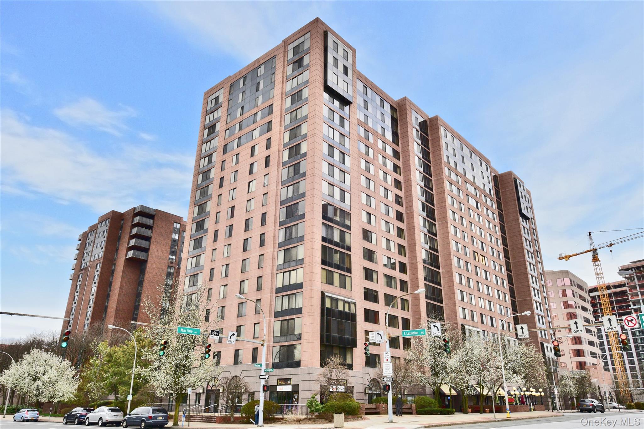 Move right into the desirable, Seasons Condo. Bright & freshly painted 1 bedroom unit with 1 bathroom w/ washer & dryer in unit, updated kitchen. Wood floors throughout the apartment. Many closets including a walk-in closet. Parking for 1 car in the garage is included, 2nd car for an additional fee. This luxury Condo is conveniently located minutes to Metro-North, bus, shops and restaurants. 24 hour concierge can help you with all your needs! The Spa has State-of-the-Art gym equipment, large Indoor Pool and Jacuzzi. Fitness center offers daily exercise programs for residents. Additional Information: ParkingFeatures:1 Car Attached,