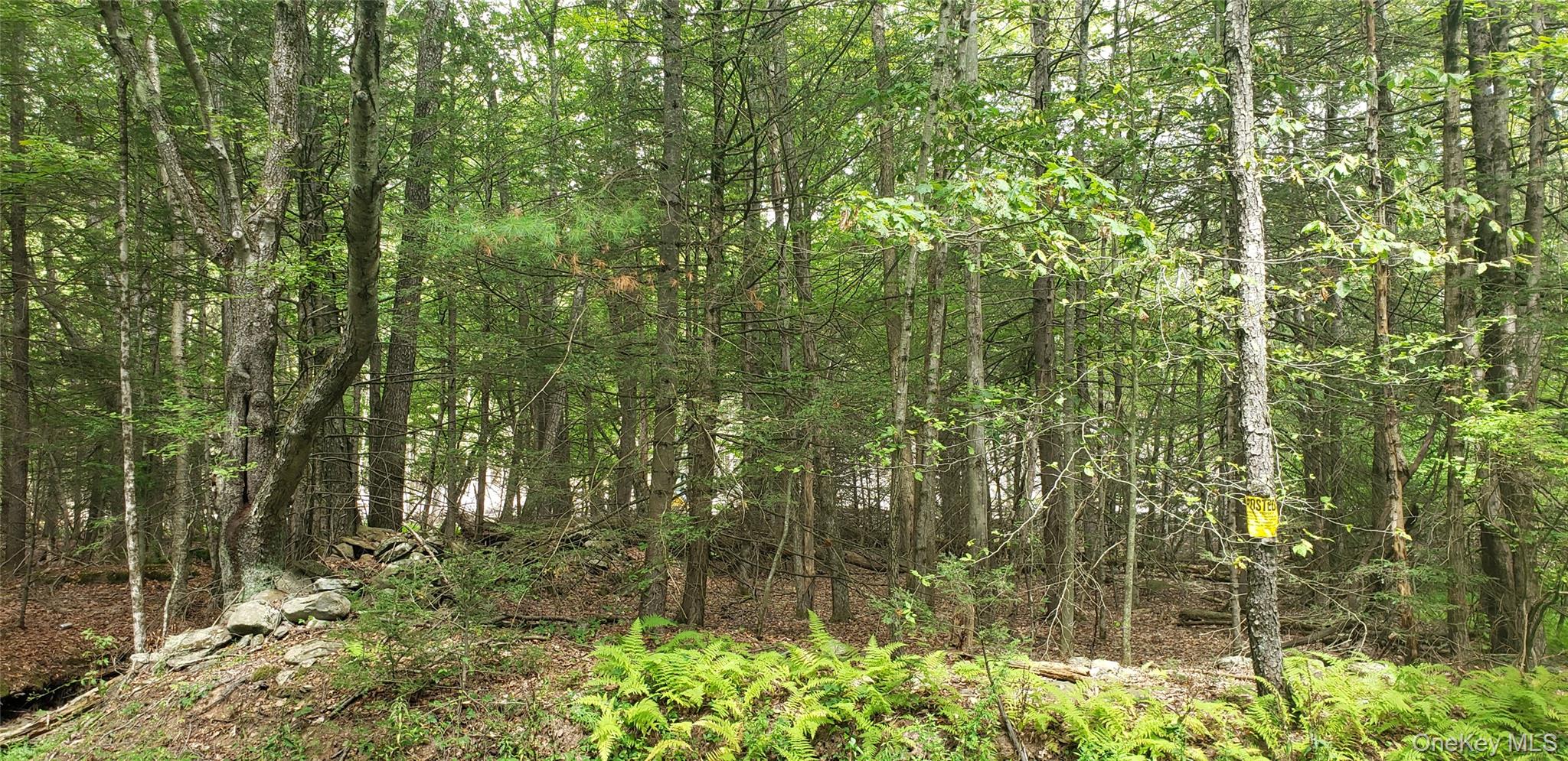 This 10-acre property is situated on a quiet country road in Mountaindale. The driveway has been partially constructed, and a home site has been cleared, making it ready for your future weekend retreat or year-round residence. Experience an abundance of wildlife and enjoy the peaceful surroundings throughout the year.