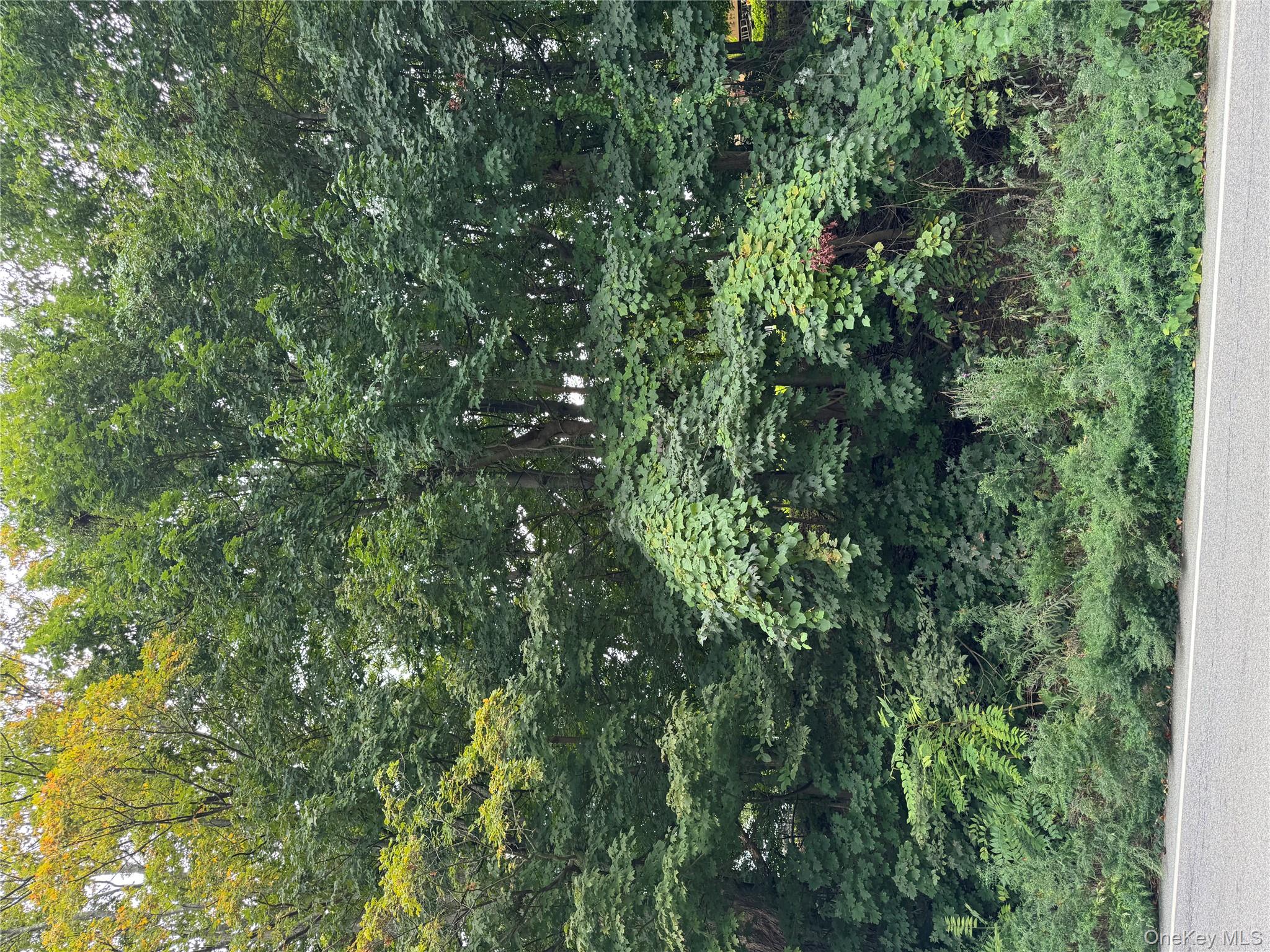 City of Peekskill lot size 7500. Buyer may need a variance. Property is hilly