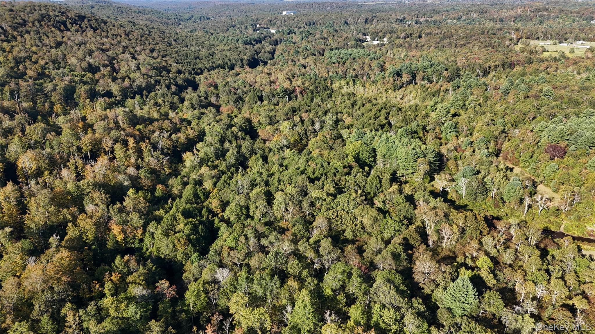 Discover 50 acres of raw land with unlimited possibilities in the heart of Sullivan County. This expansive property features the East Mongaup River running through its northwesterly section, offering serene natural beauty and a rare water feature. The land directly abuts the East Mongaup River Park, owned by the Town of Thompson, creating a private yet connected setting.Perfectly situated for development, recreation, or your dream retreat, the property is just 3 miles to State Route 17, 7 minutes to Garnet Health Catskills, 10 minutes to the Village of Monticello and Liberty and 2 hours from NYC. This parcel offers a prime opportunity in a thriving, ever-growing community. Whether you envision a private estate, recreational use, or investment in one of the fastest-developing areas in the Catskills. Donâ€™t miss the chance to own a large slice of the Catskills with proximity to nature, recreation, and modern conveniences.Deeded access to this parcel is located along the northerly border of 27 Town Park Road. Refer to last photo.